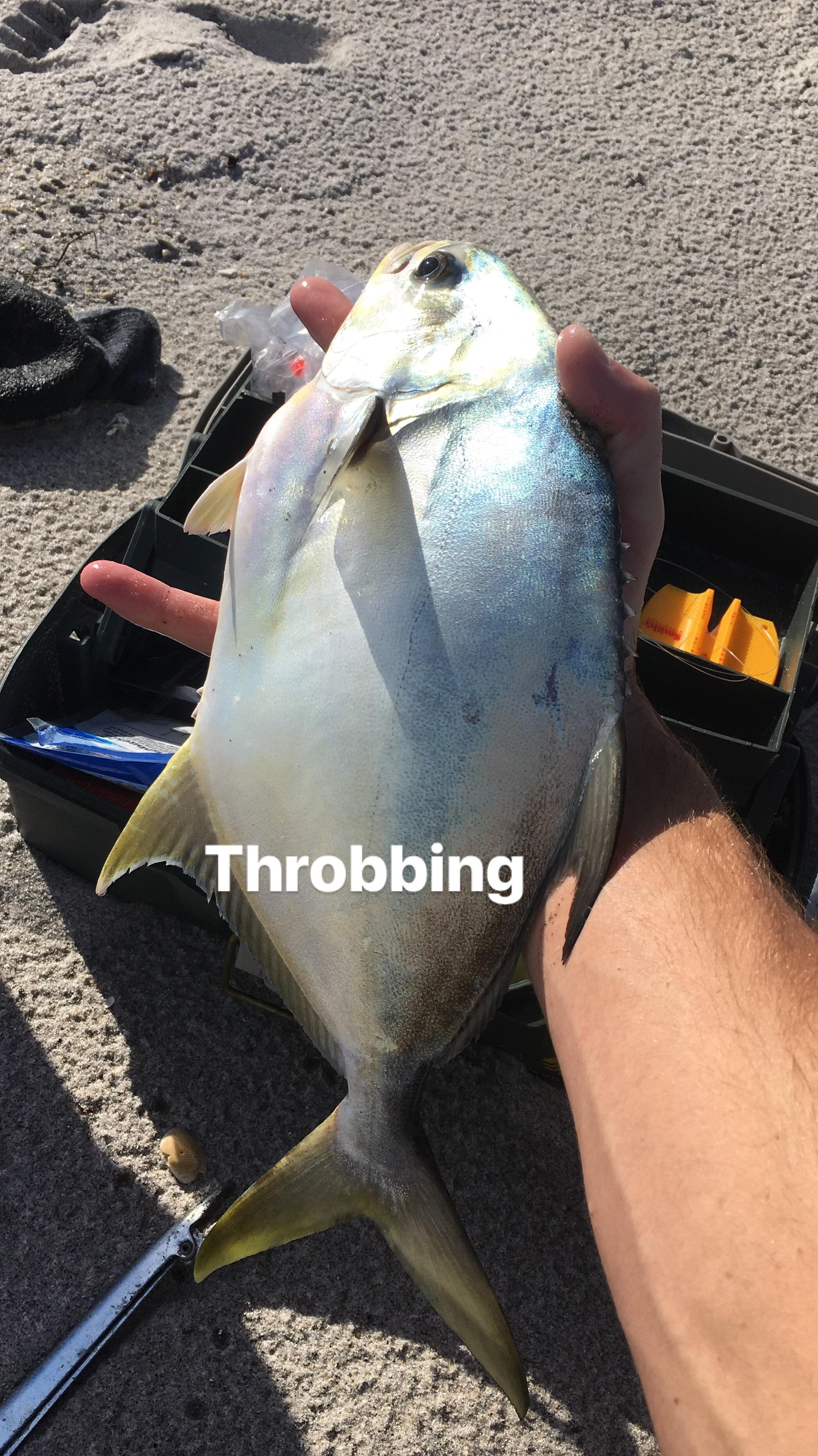 Pompano Fishing