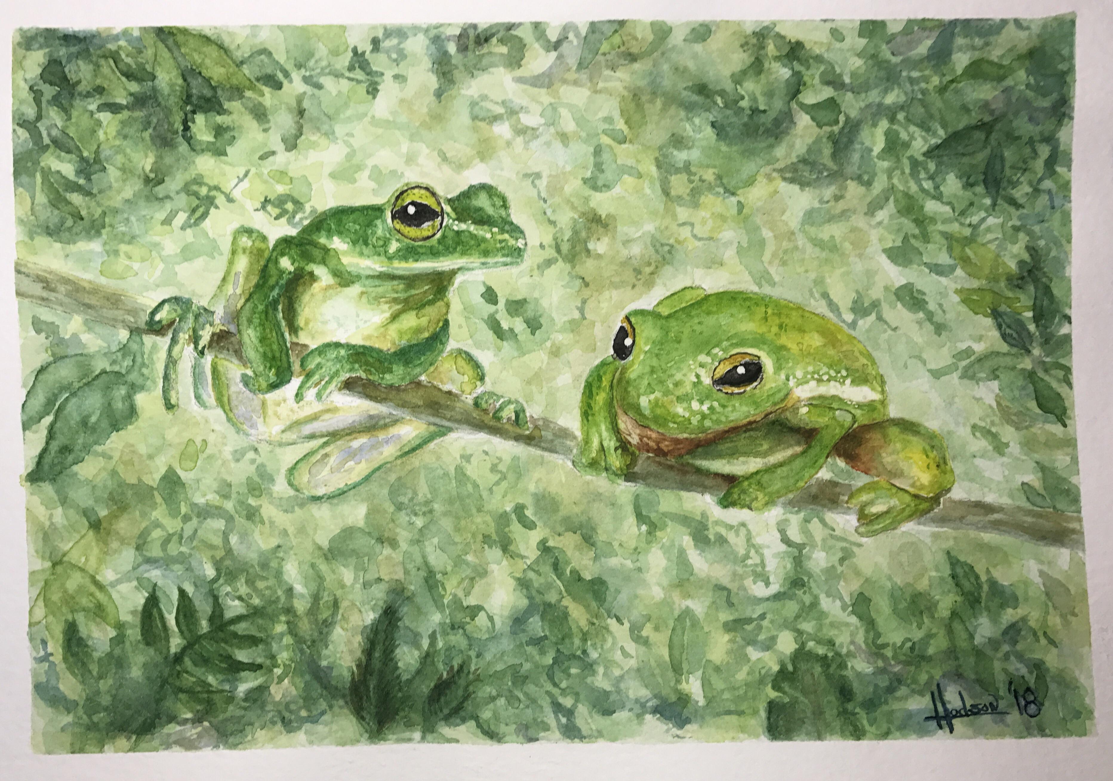 Two Frogs, Watercolor, 7x10 r/Art
