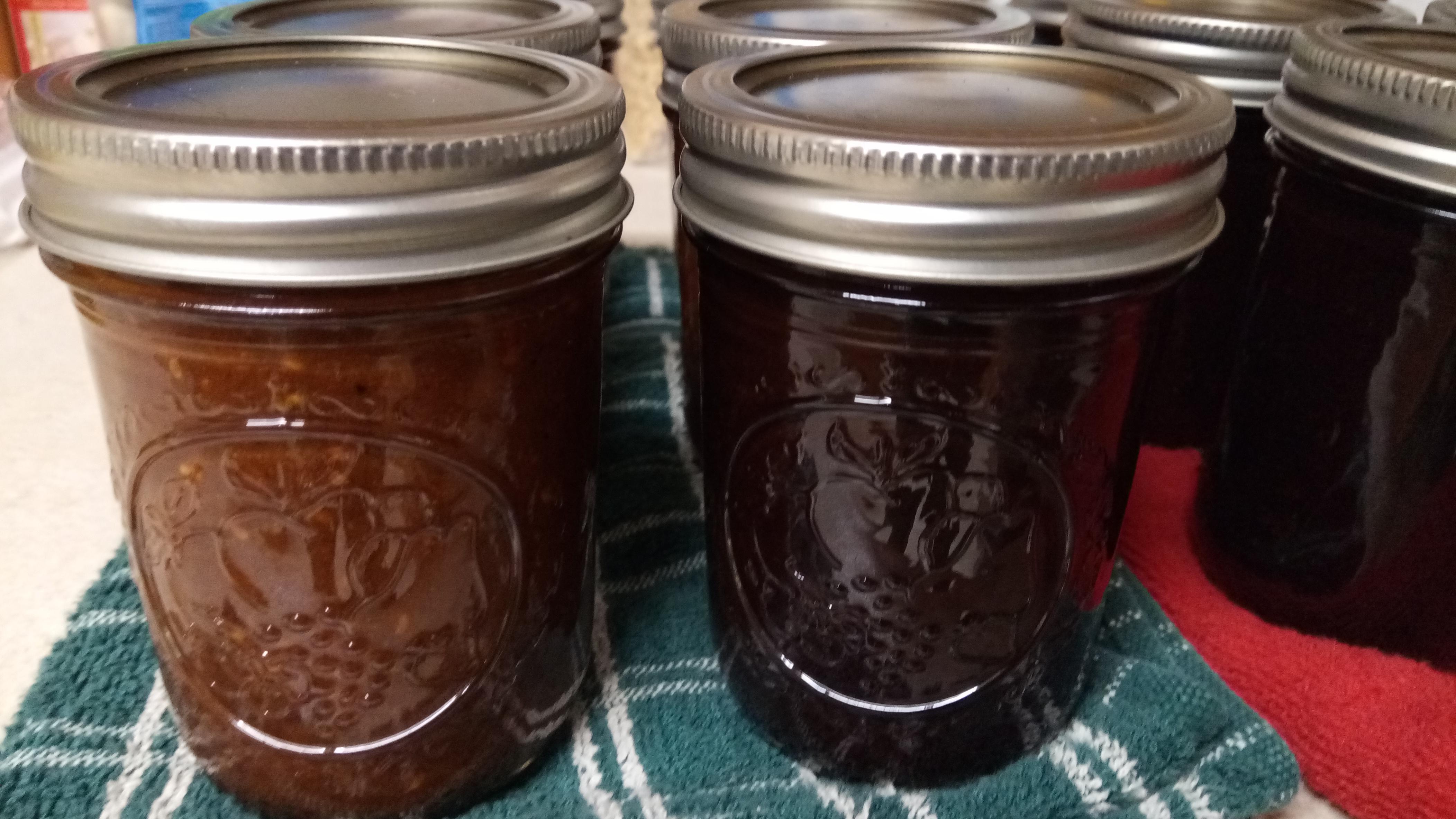 [HOMEMADE] Raspberry Chipotle and Blueberry Chipotle BBQ sauce. r/food