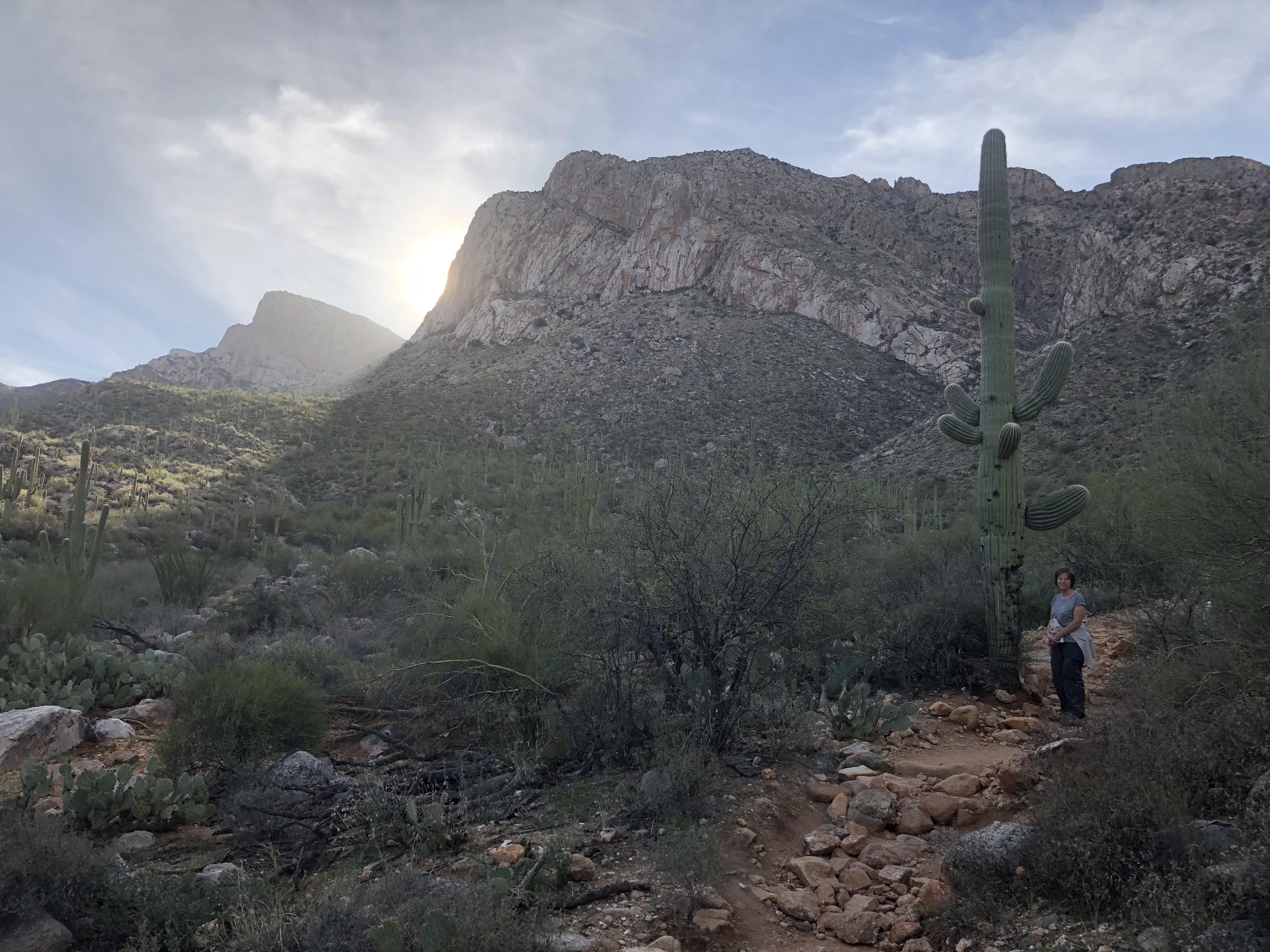 Linda Vista Trail Pusch Ridge at sunrise r/Tucson