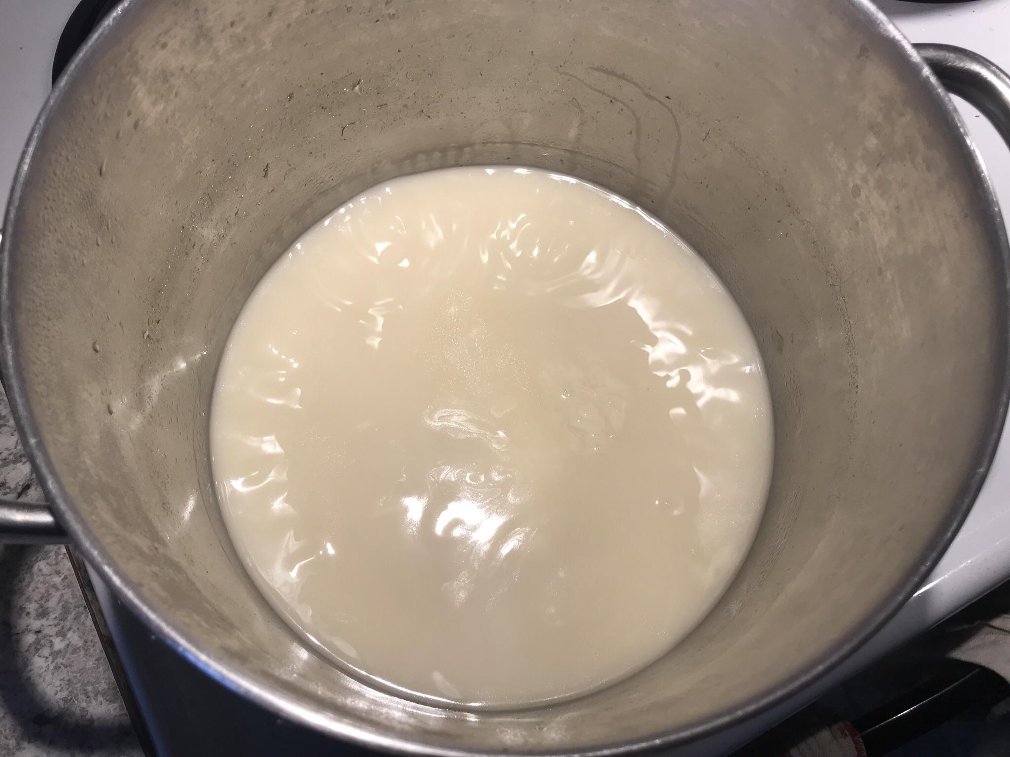 Instant pot tonkotsu broth ramen
