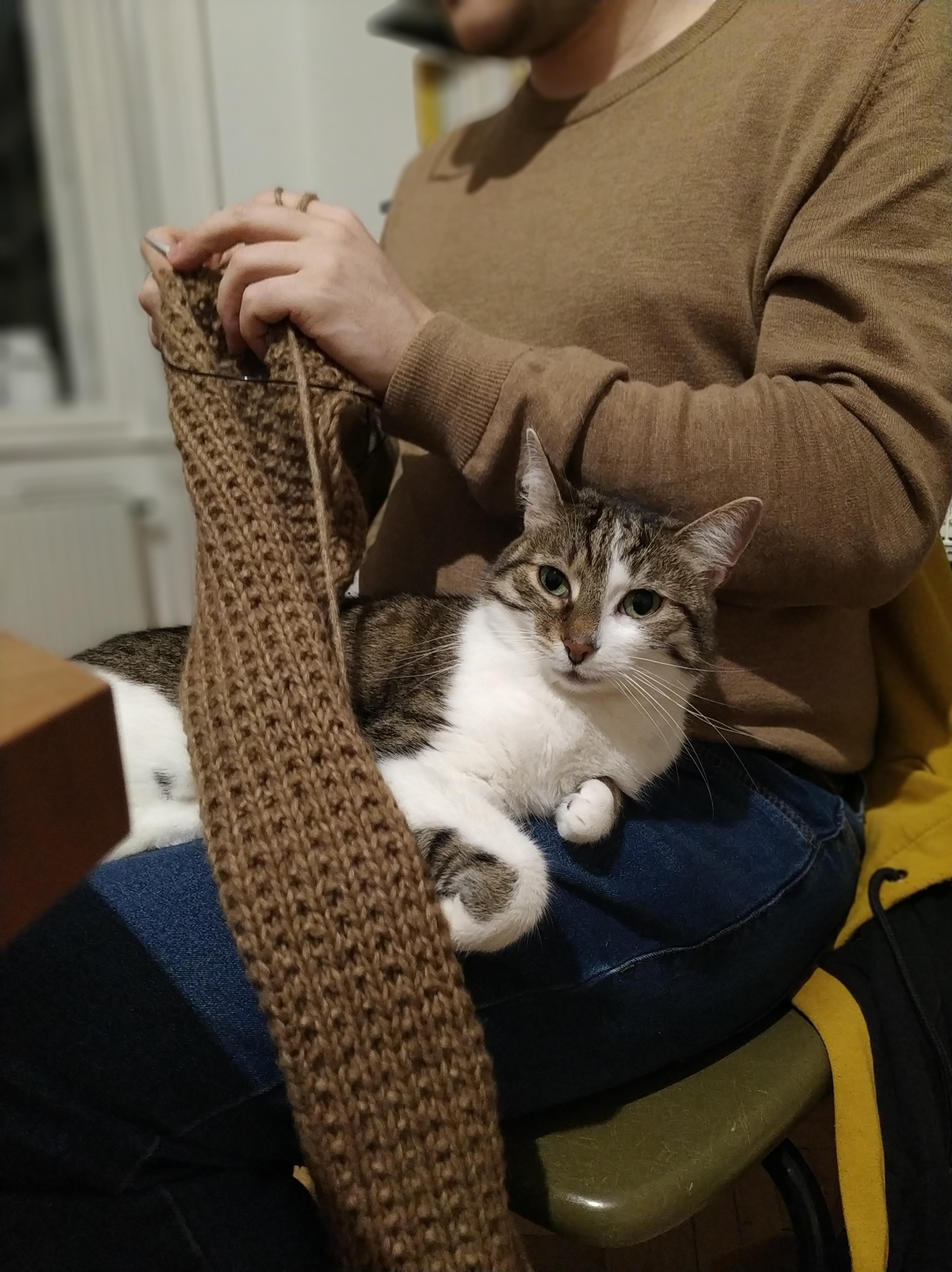 Knitting with Emma r/Kitting