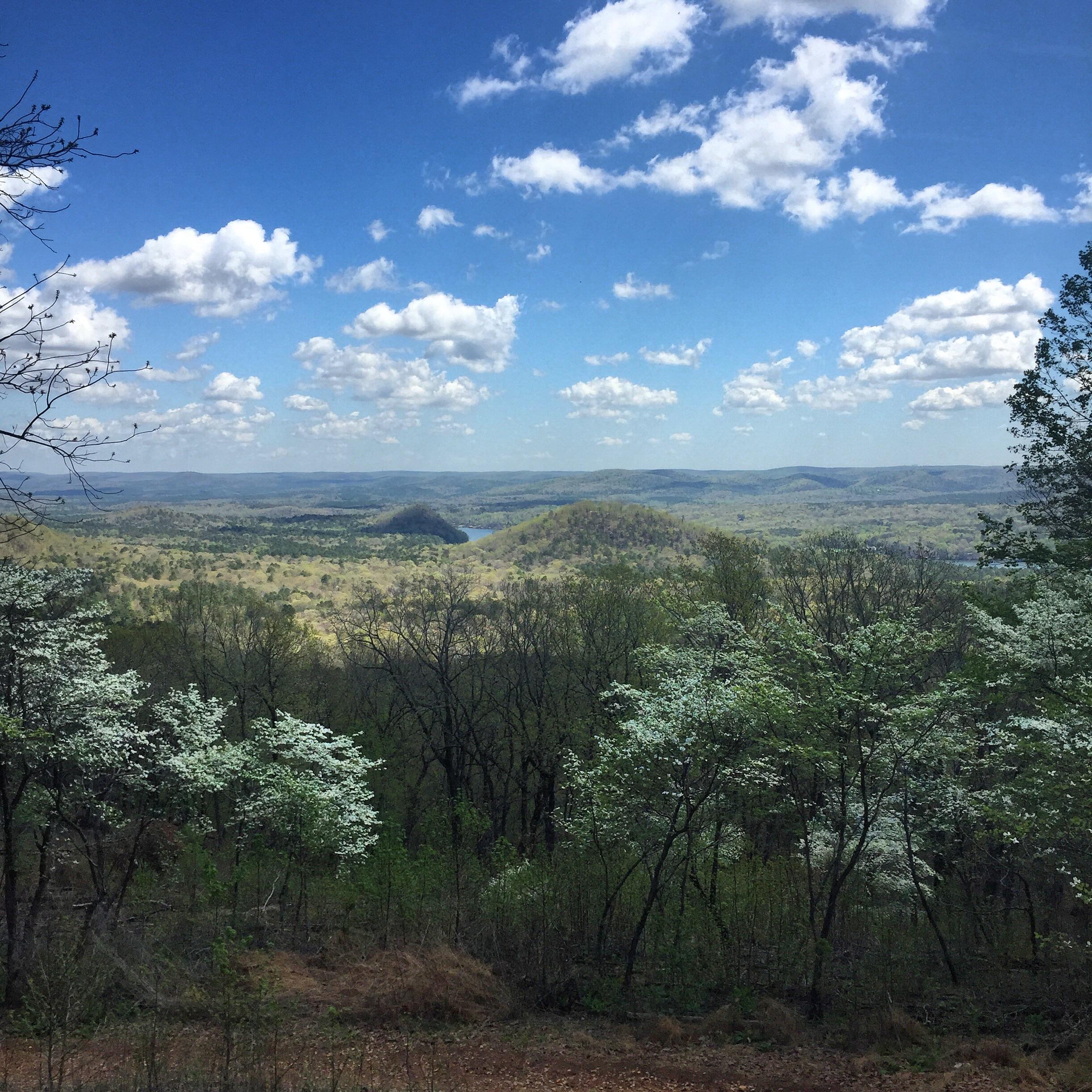 Got to check out Morrow Mountain State Park this week and it was
