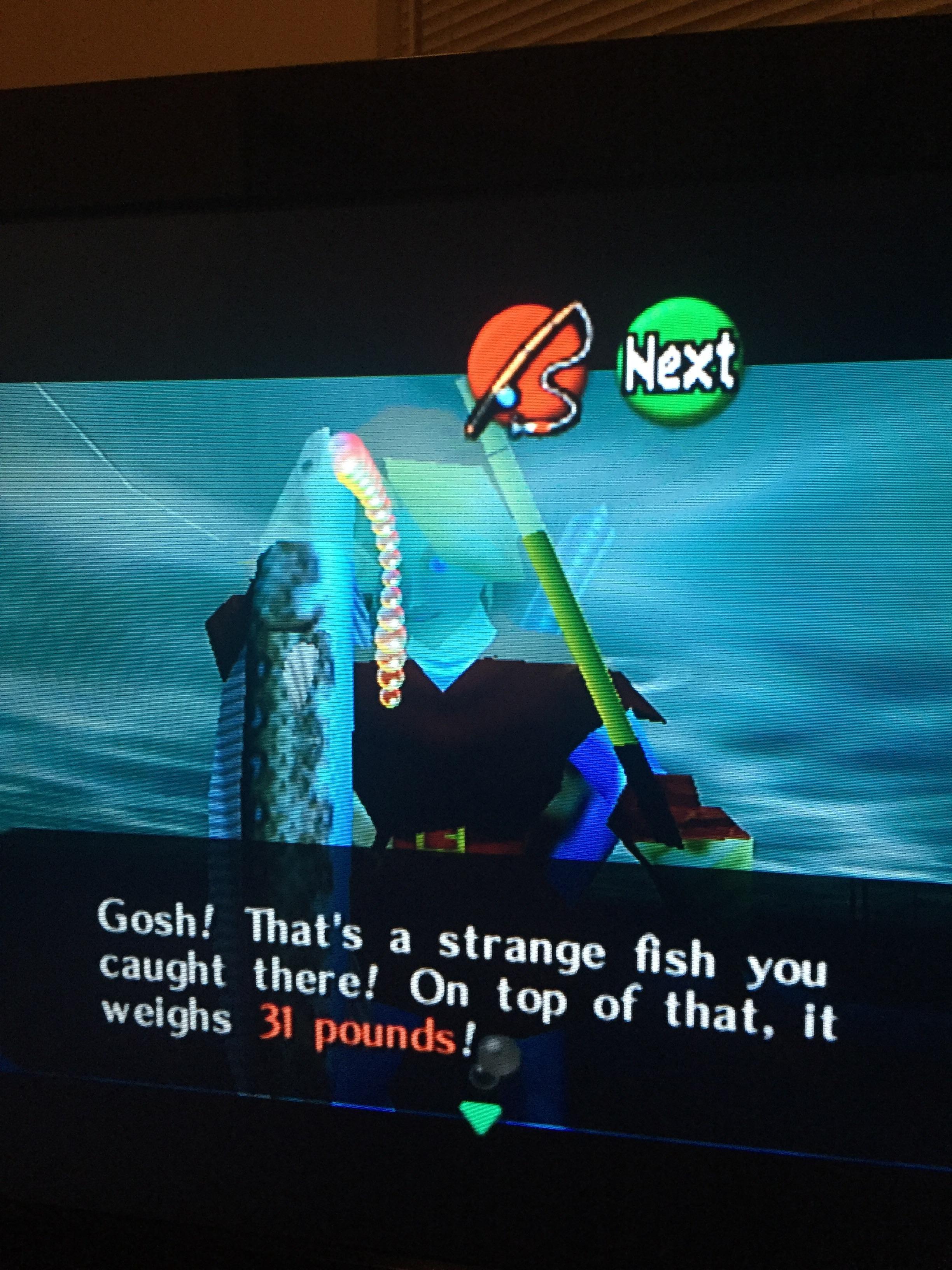 Hylian Loach I did it r/zelda