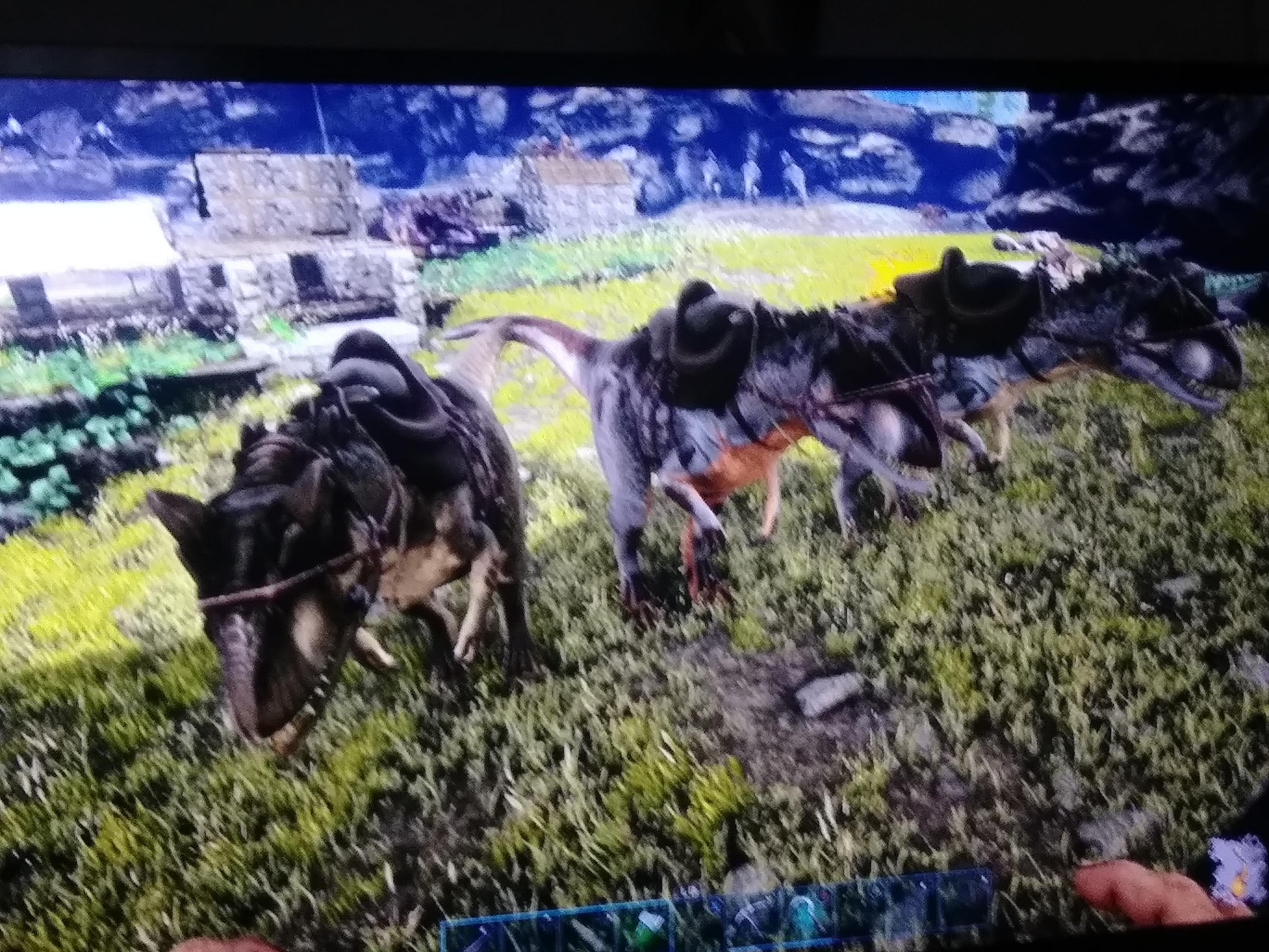 2nd generation Allosaurus. These are generation 2 and part of mass