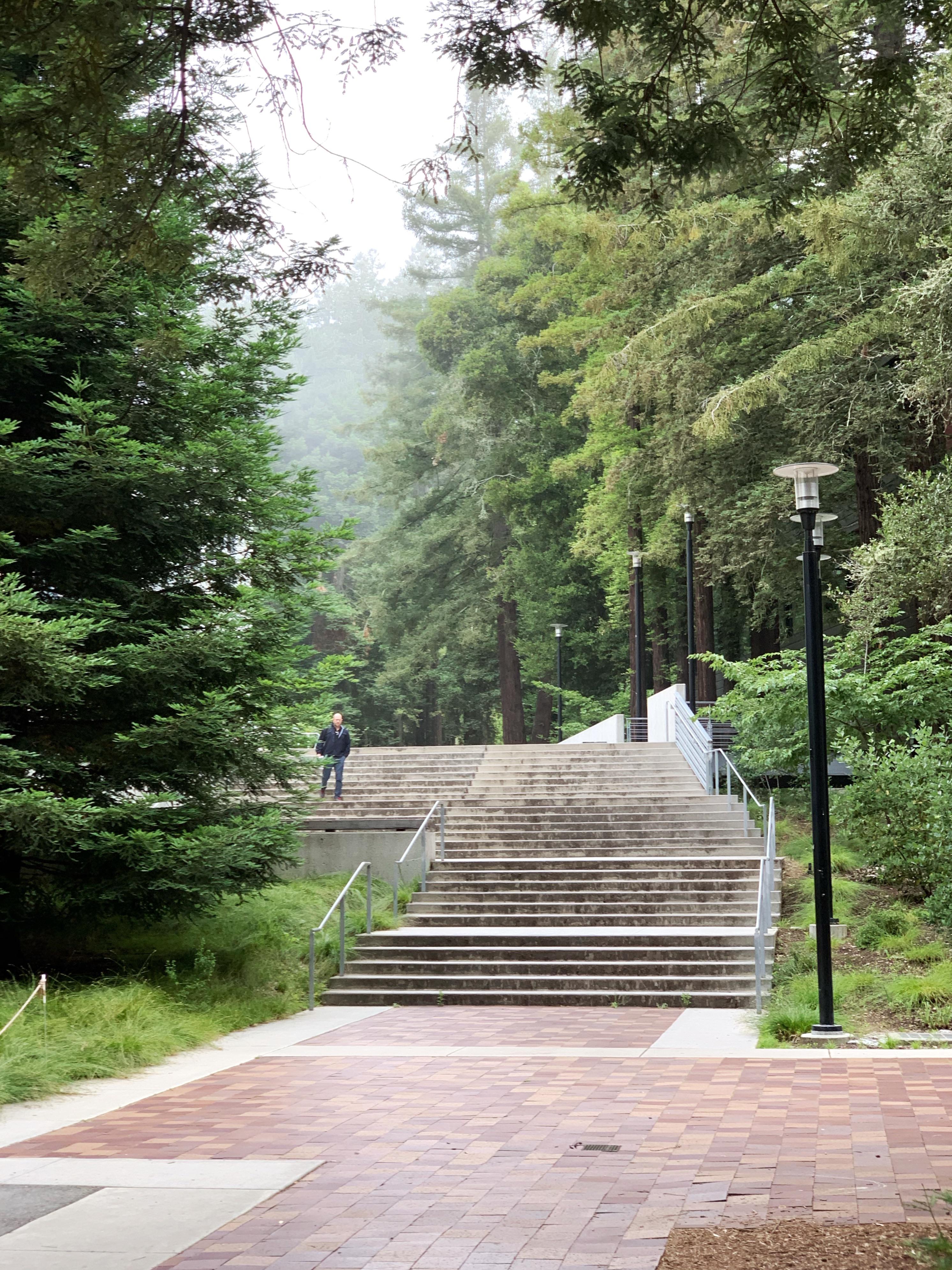 Science Hill on a brisk summer morning (June 2019) for anyone missing