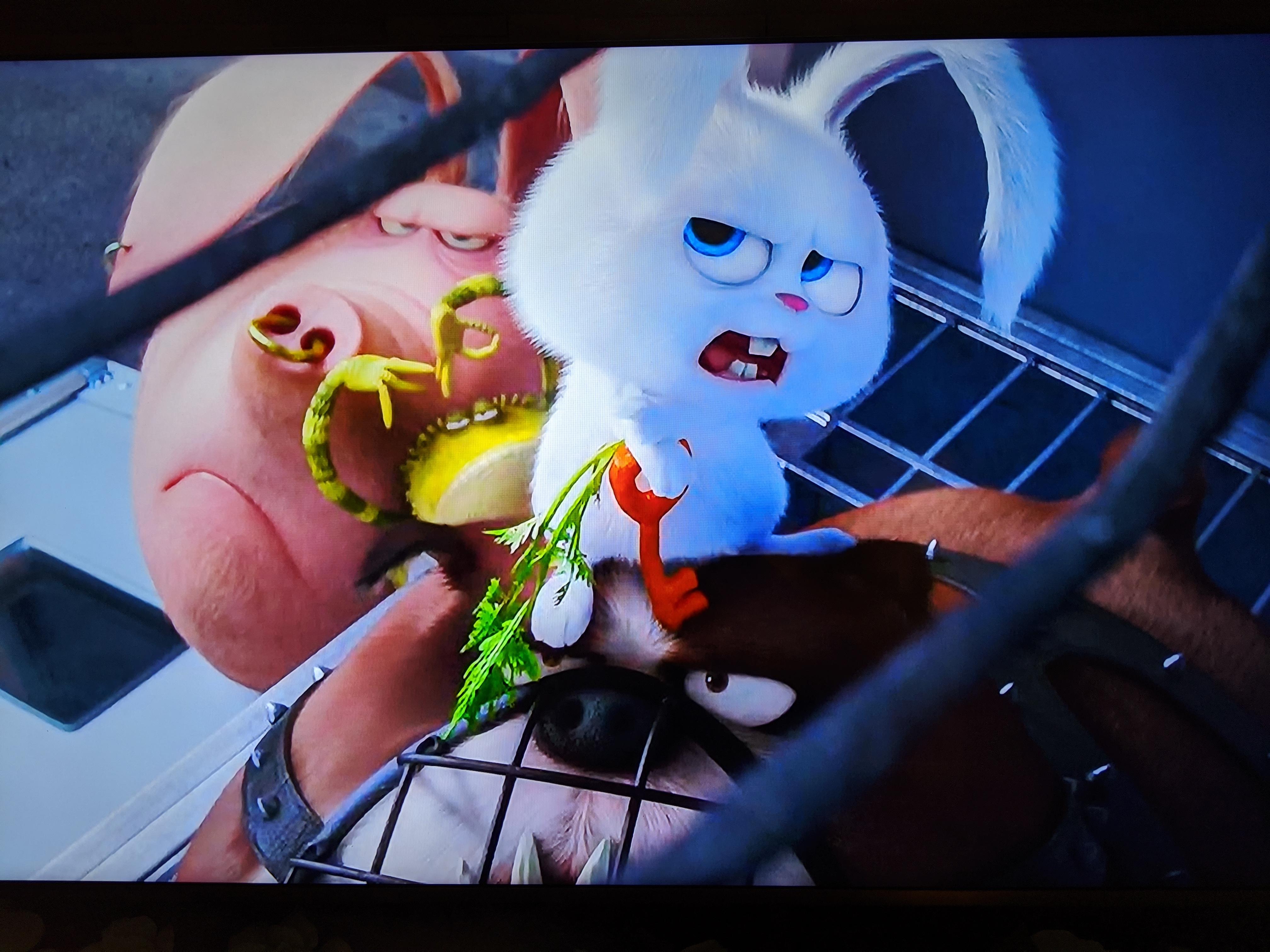 8+ Secret Life Of Pets Easter Eggs and Hidden Trivia The Movie Facts