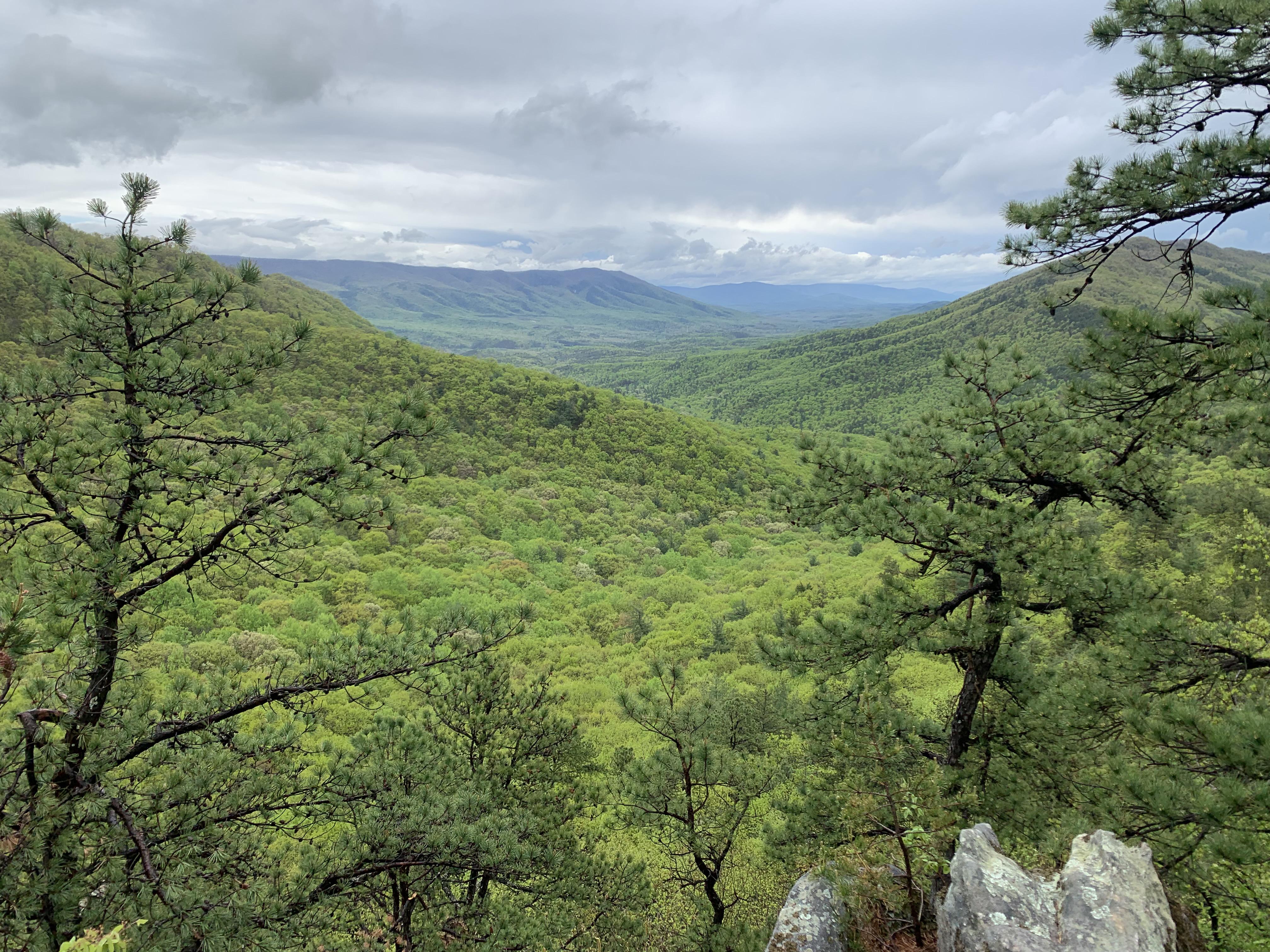 Backpacking in Virginia r/WildernessBackpacking