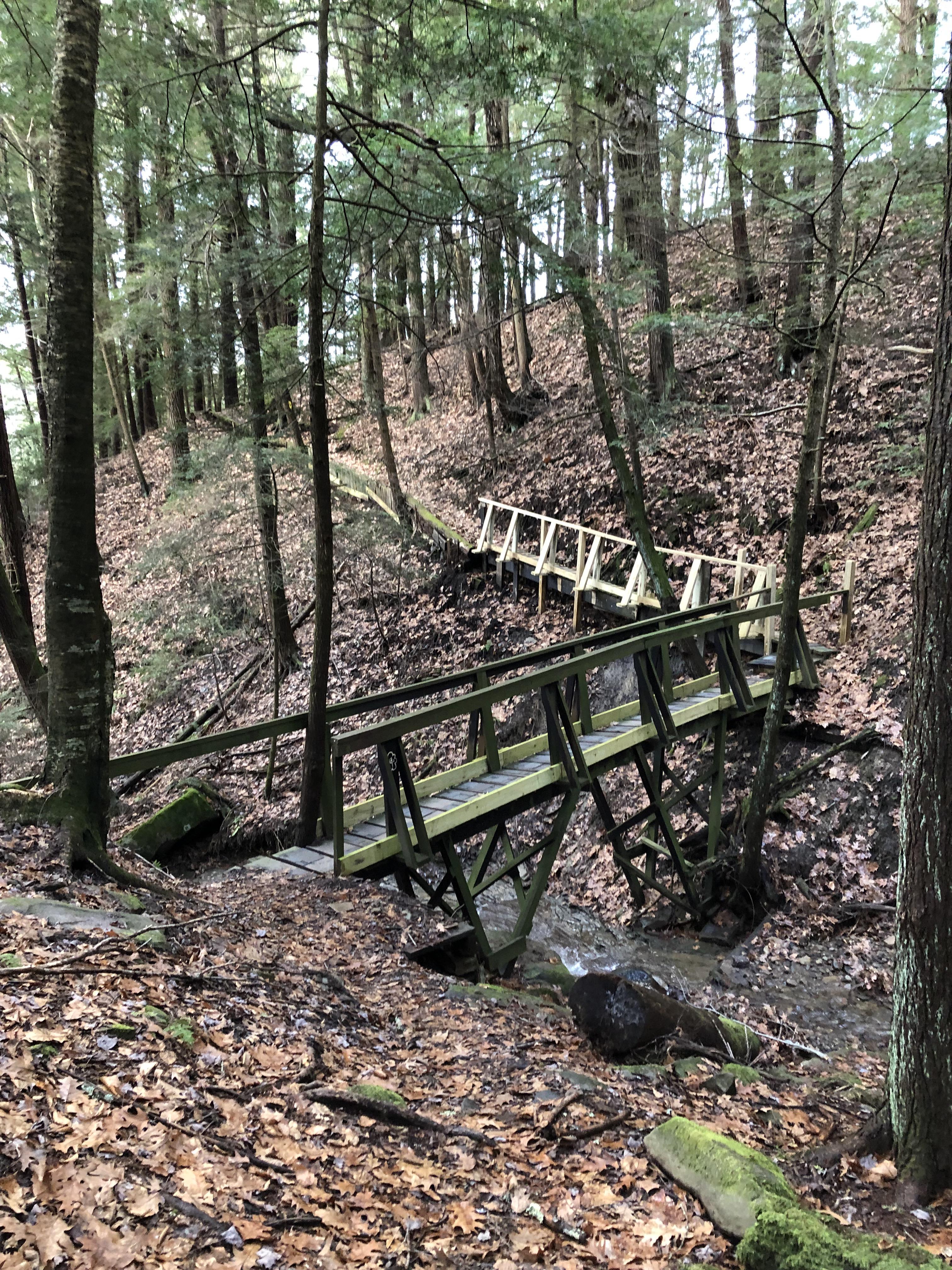 Found a new 30 mile looped trail in northern Pennsylvania. r/trailrunning