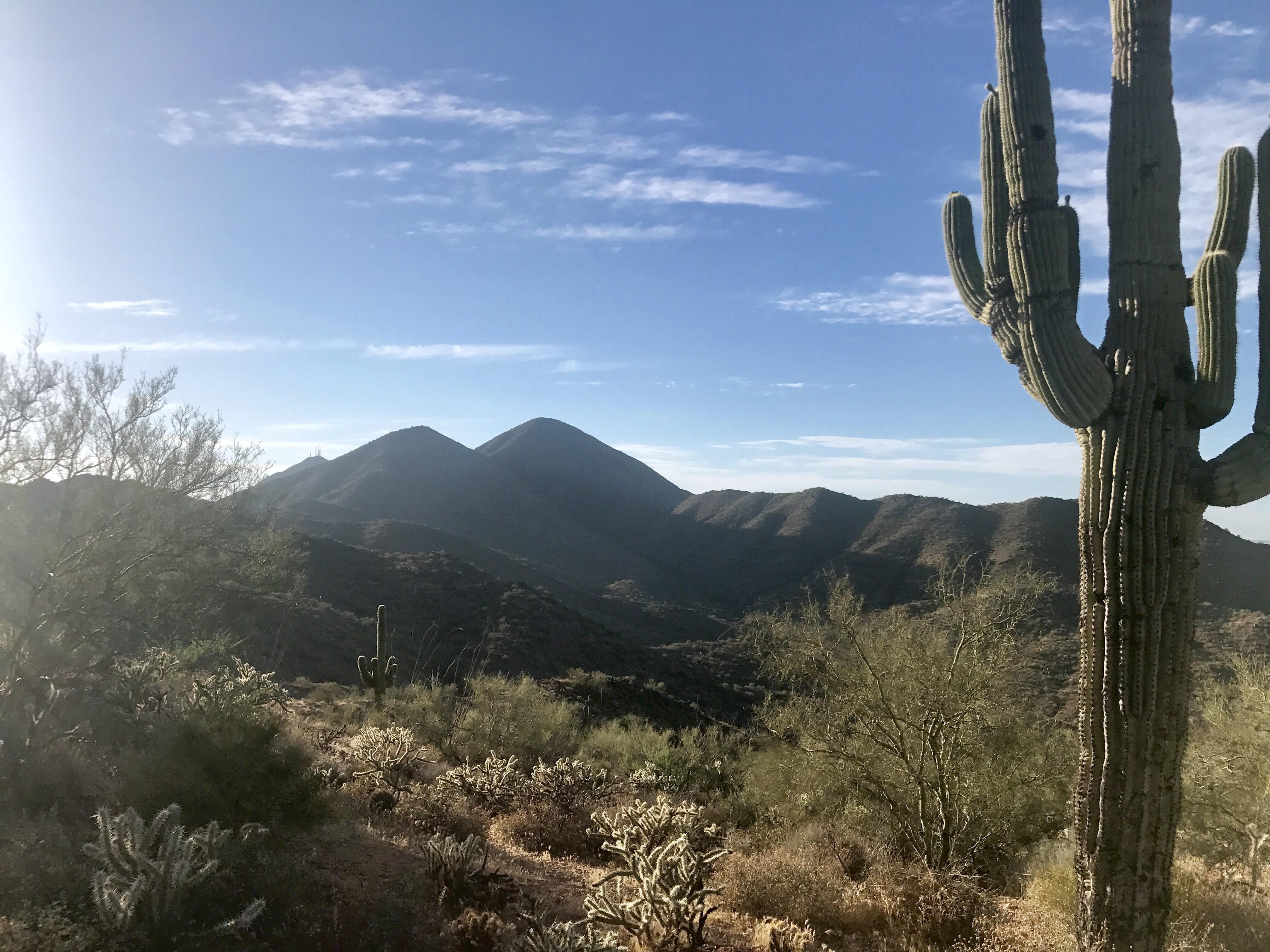 Sunrise Trail, Scottsdale, Arizona r/arizona