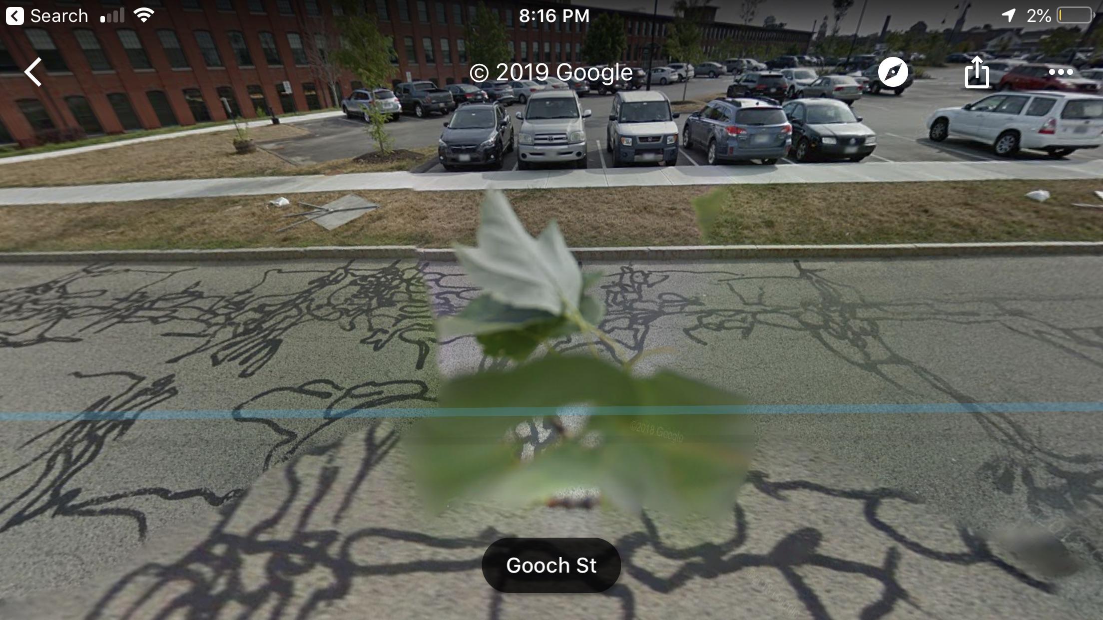 The google car drove through OOB, Saco and Biddeford Maine with a leaf