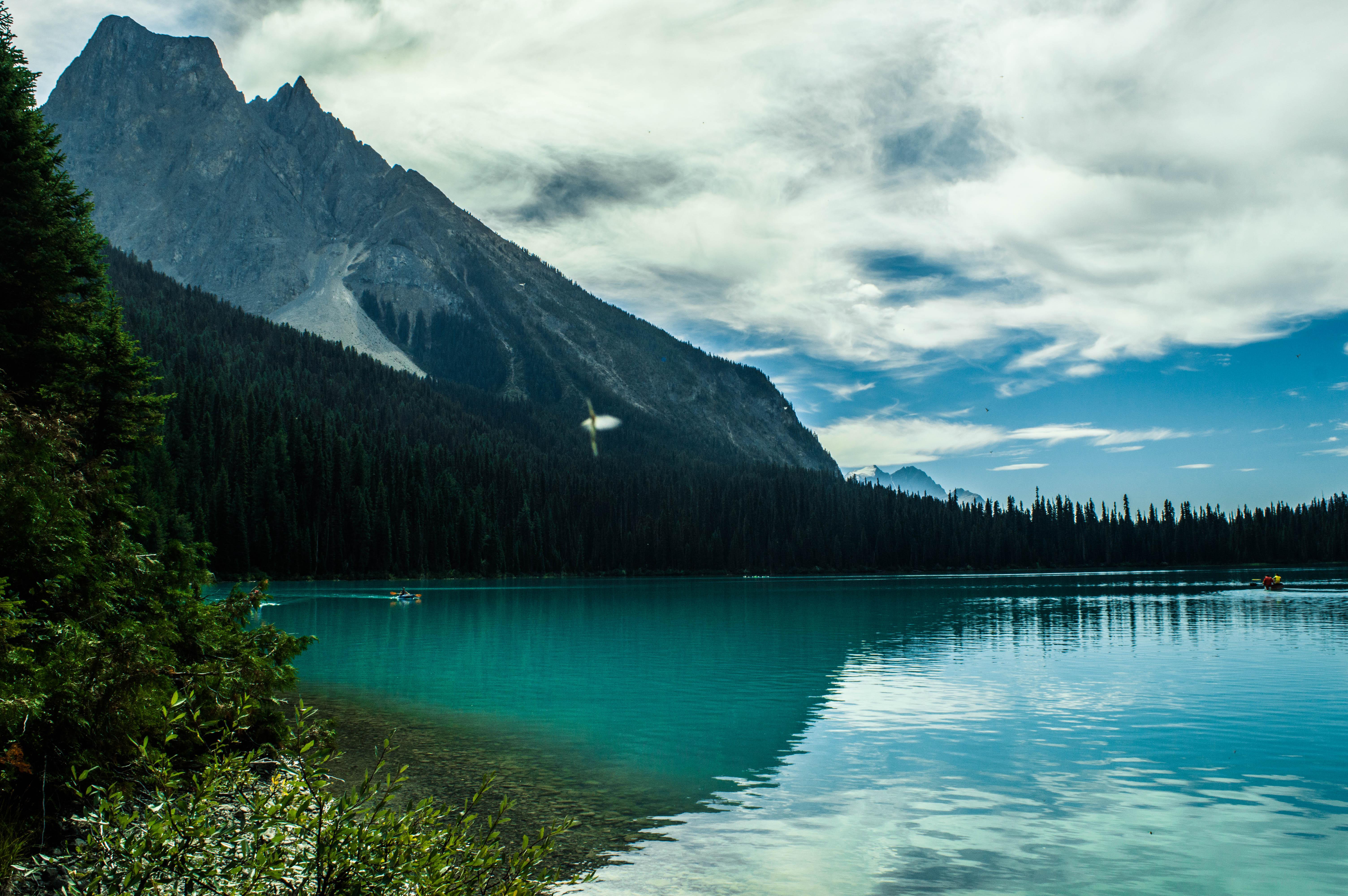 Emerald Lake, British Columbia, Canada [OC] [6016x4000] r/EarthPorn