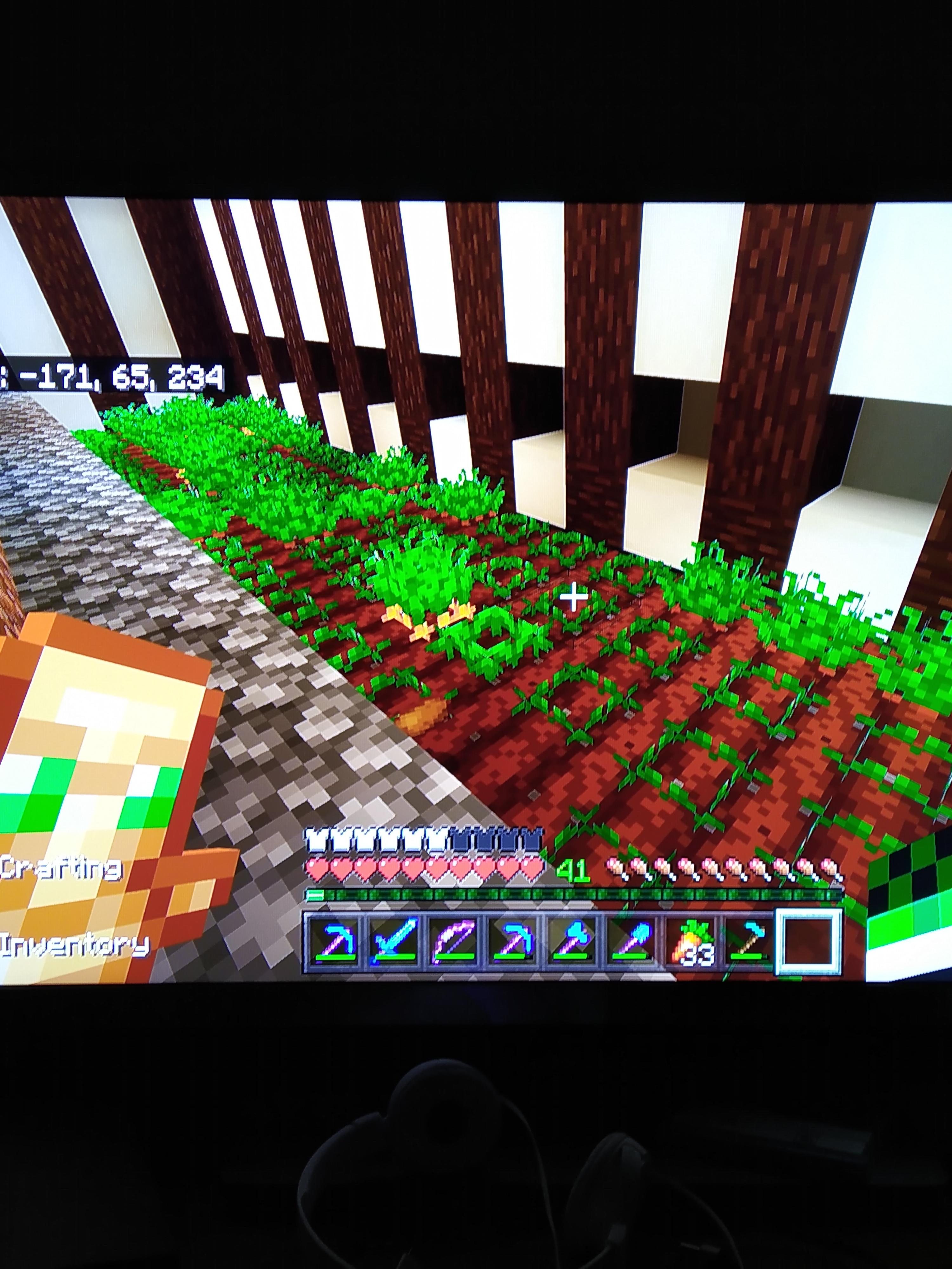 Why do my carrots and potatoes keep popping out of the ground Minecraft