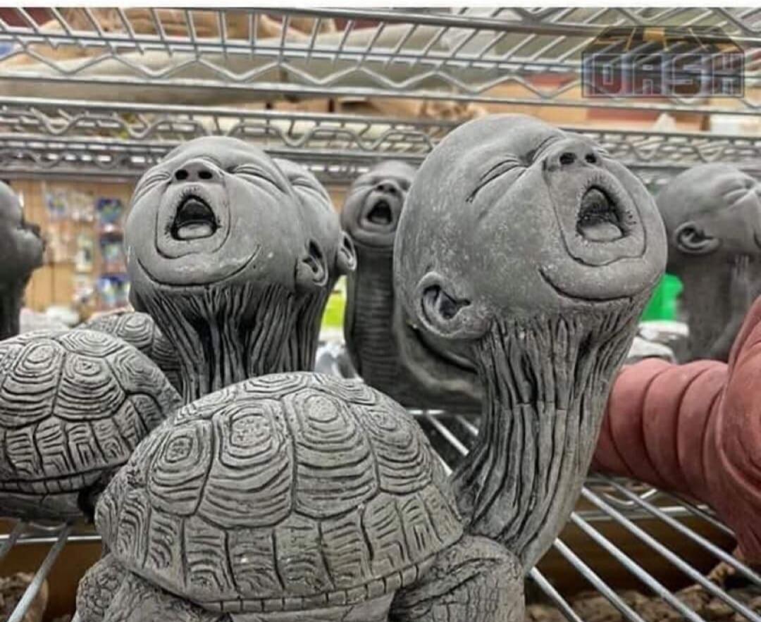 Creepy turtle baby hybrid r/HelpMeFind