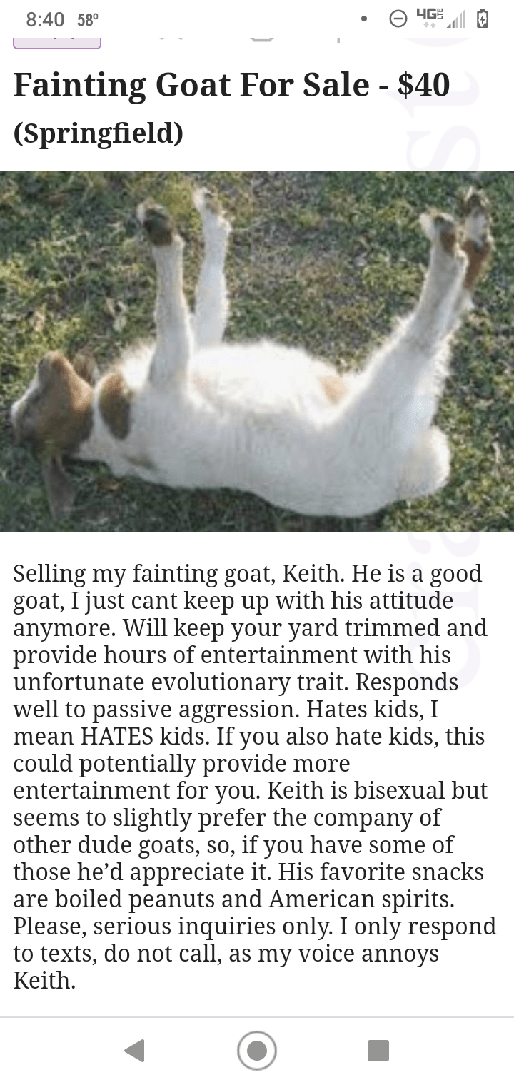 Found on my local craigslist...pretty funny r/goats
