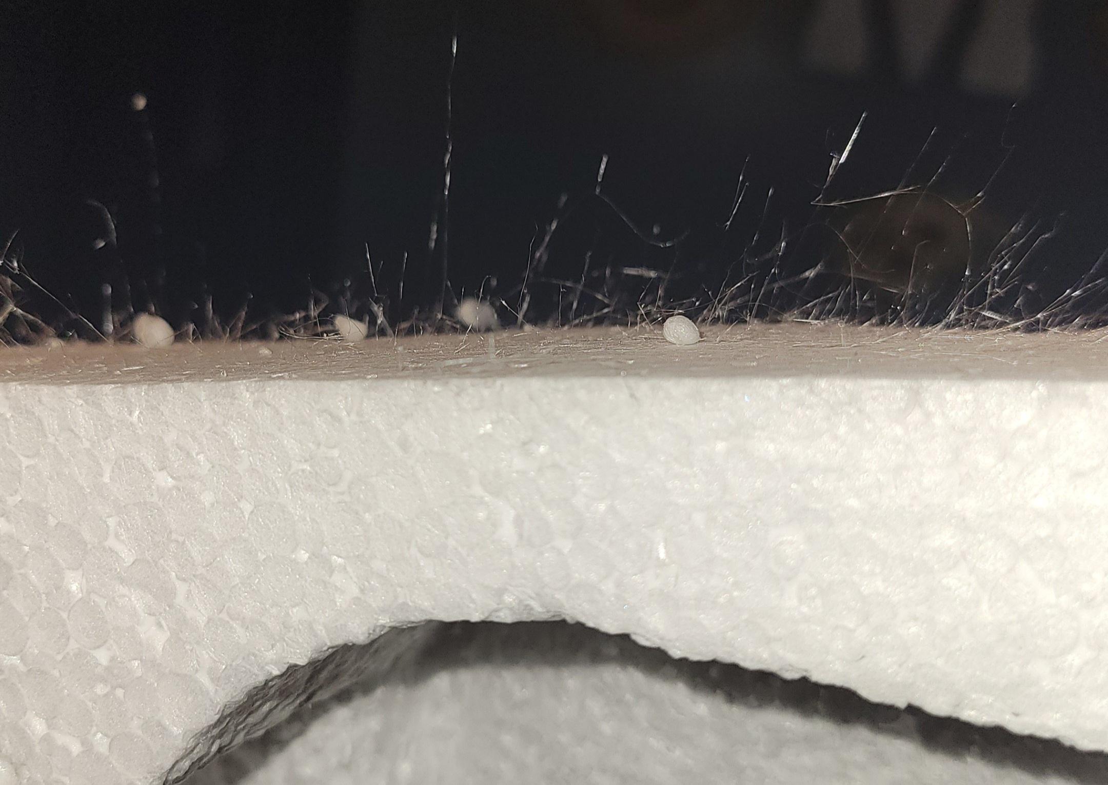 I just received a package that was in horrible shape, and in the