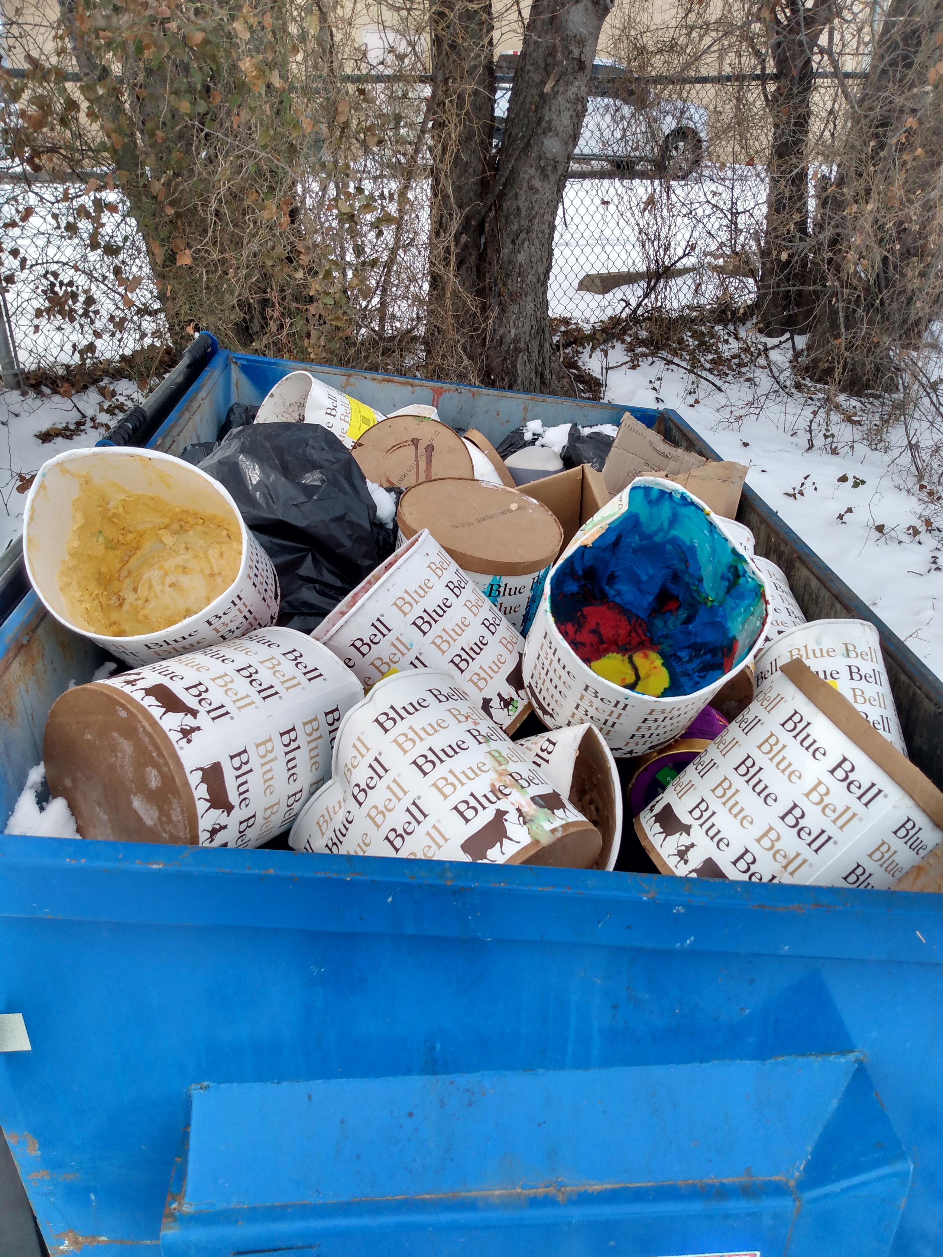 Power Outages in Texas got me throwing away 84 gallons of Blue Bell 😭