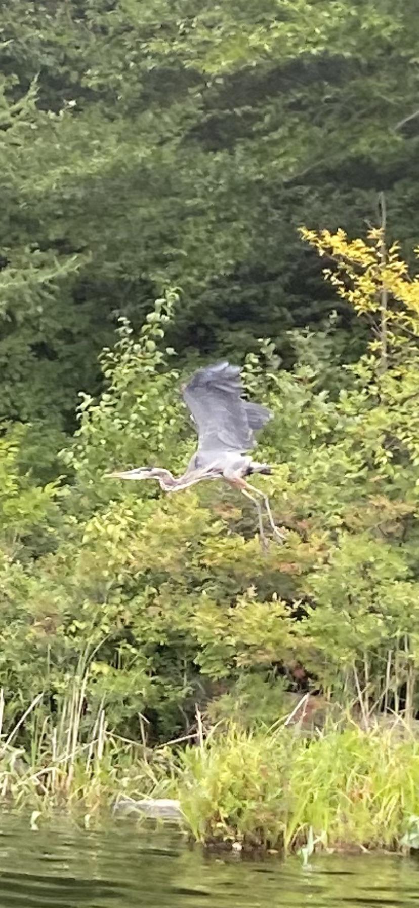 South Spectacle Lake r/Connecticut