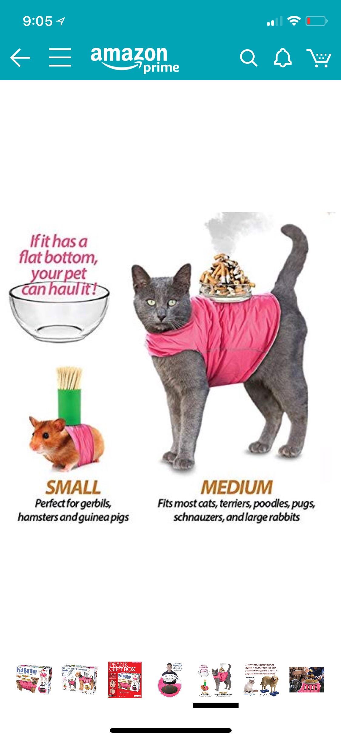 Dogs rule, cats... r/screenshots