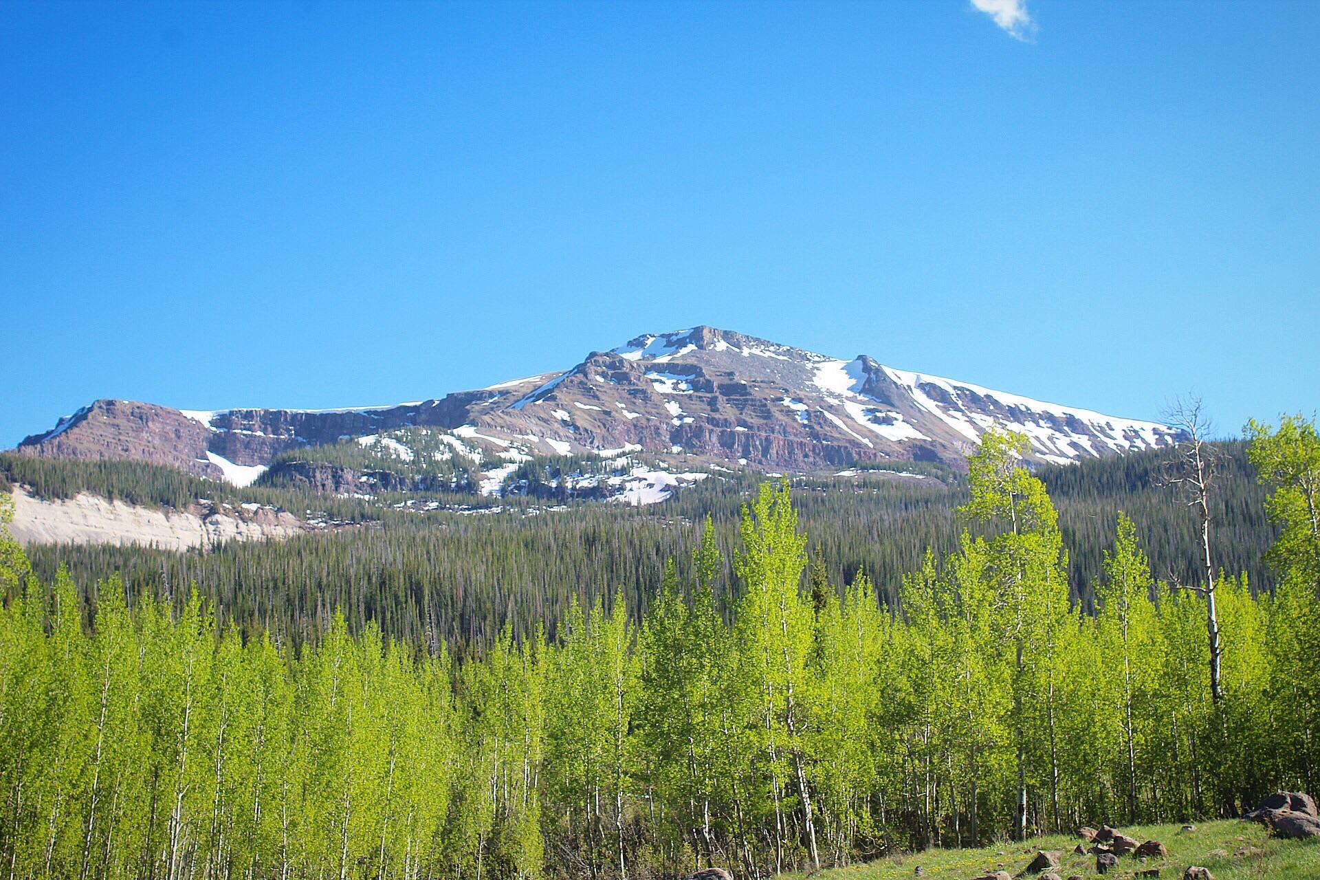 Flat Tops r/Colorado