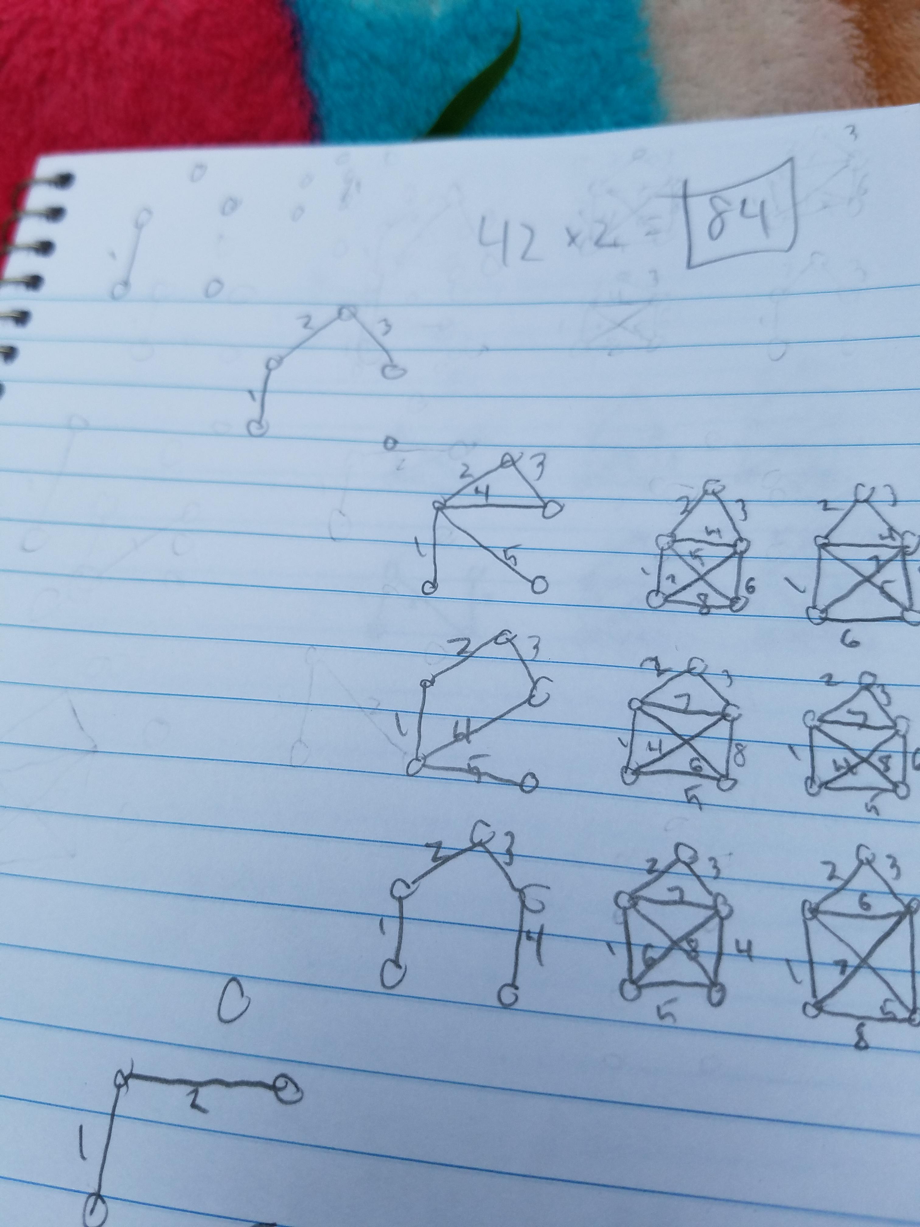 Can anyone confirm there's 84 unique ways to draw the house without