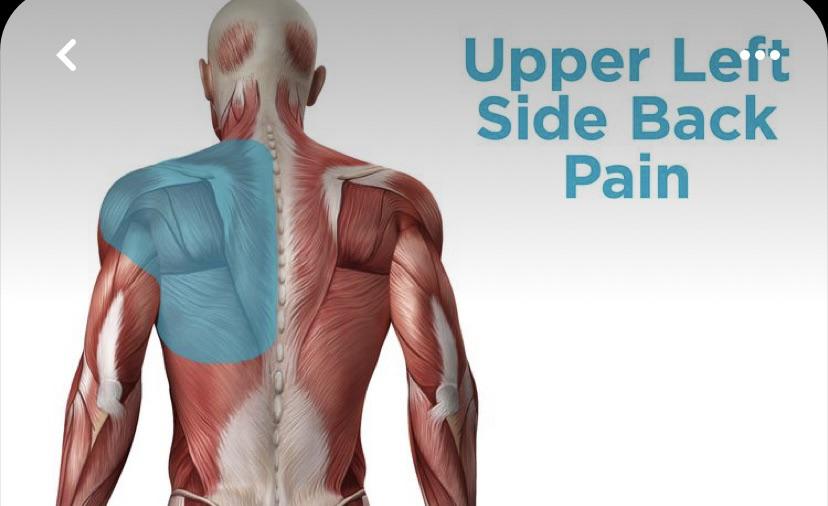 Back pain r/Hashimotos