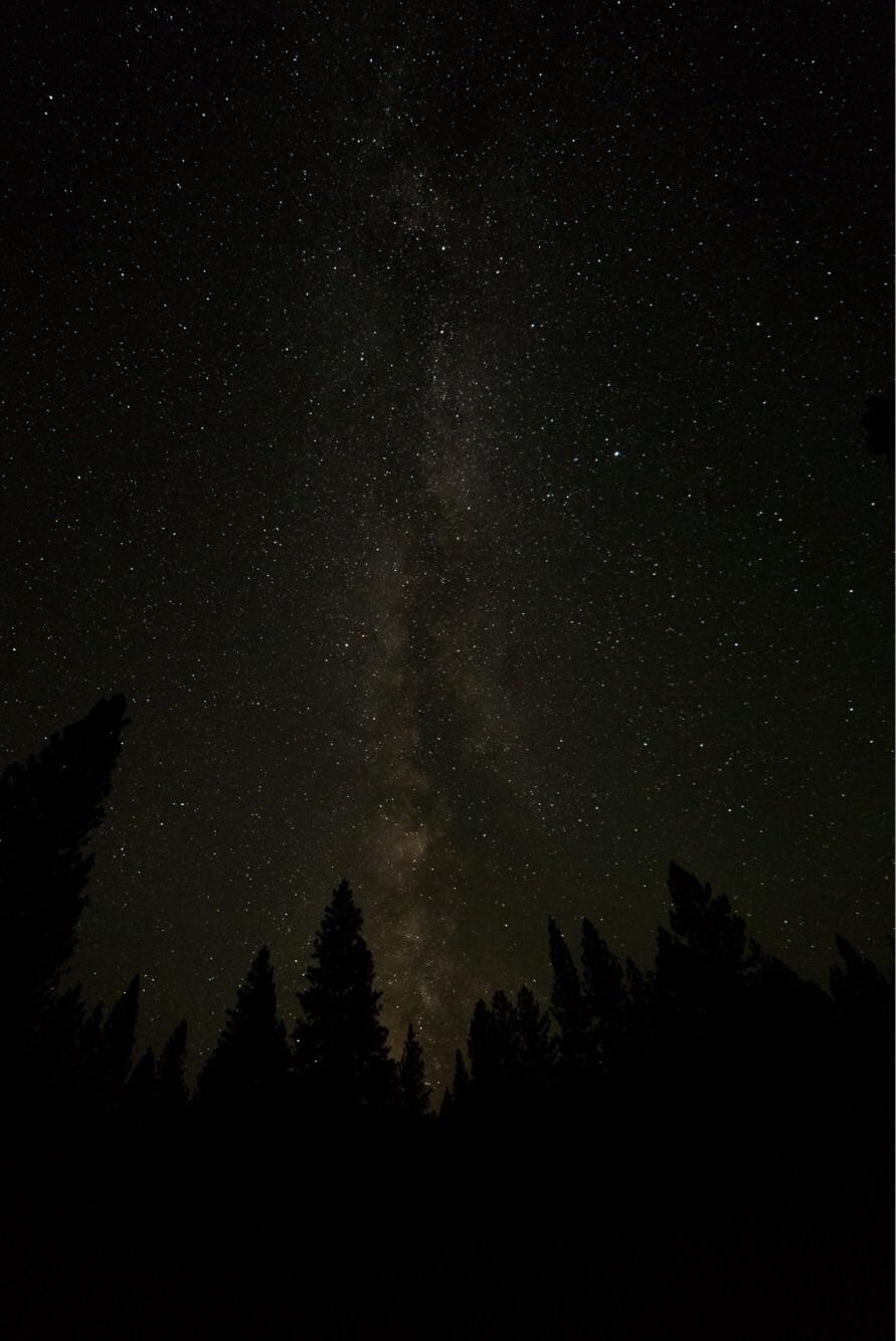 The Plumas National Forest is full of variety, and is very photogenic