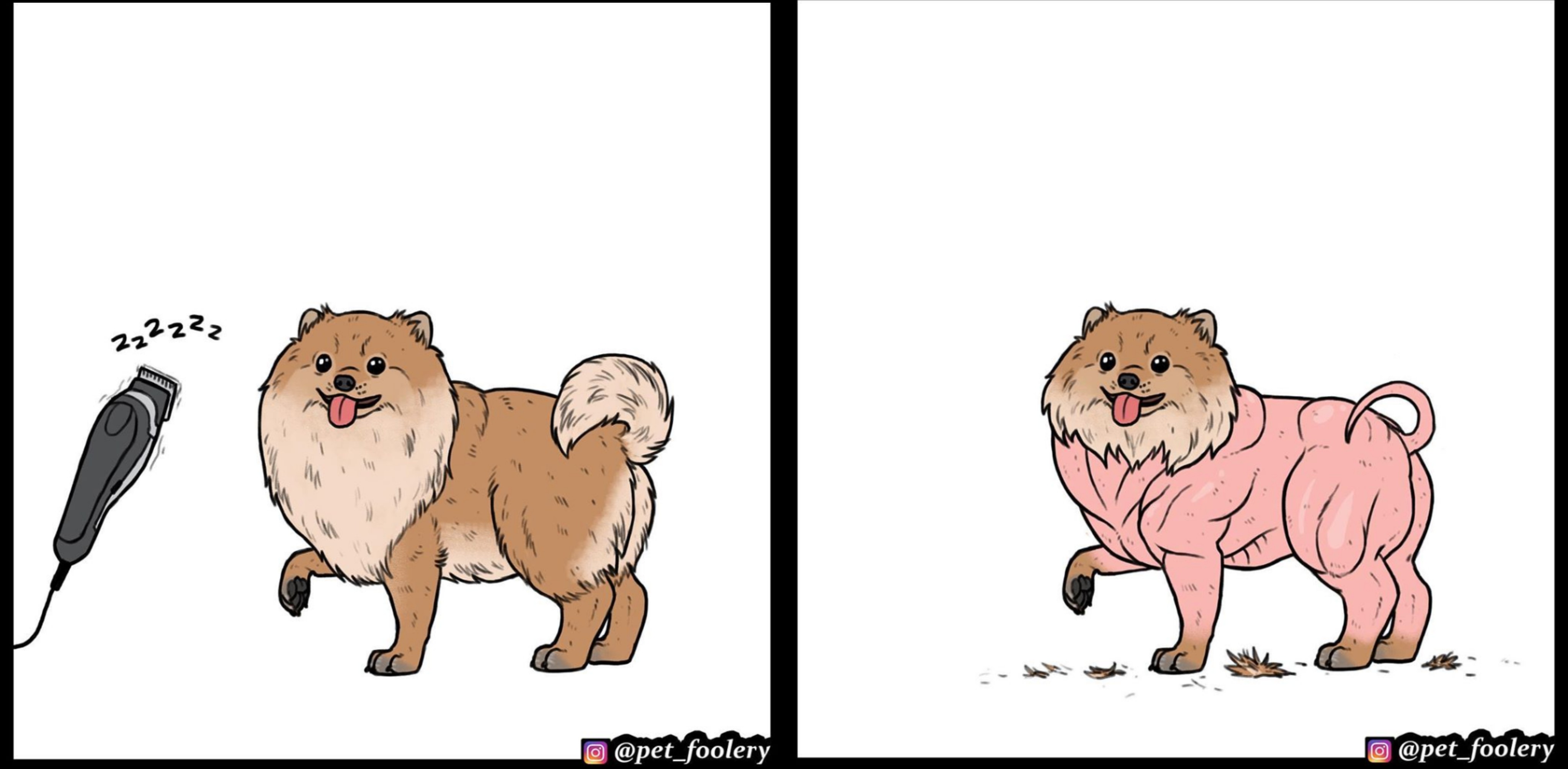 Thanks, I hate buff shaved dogs r/TIHI