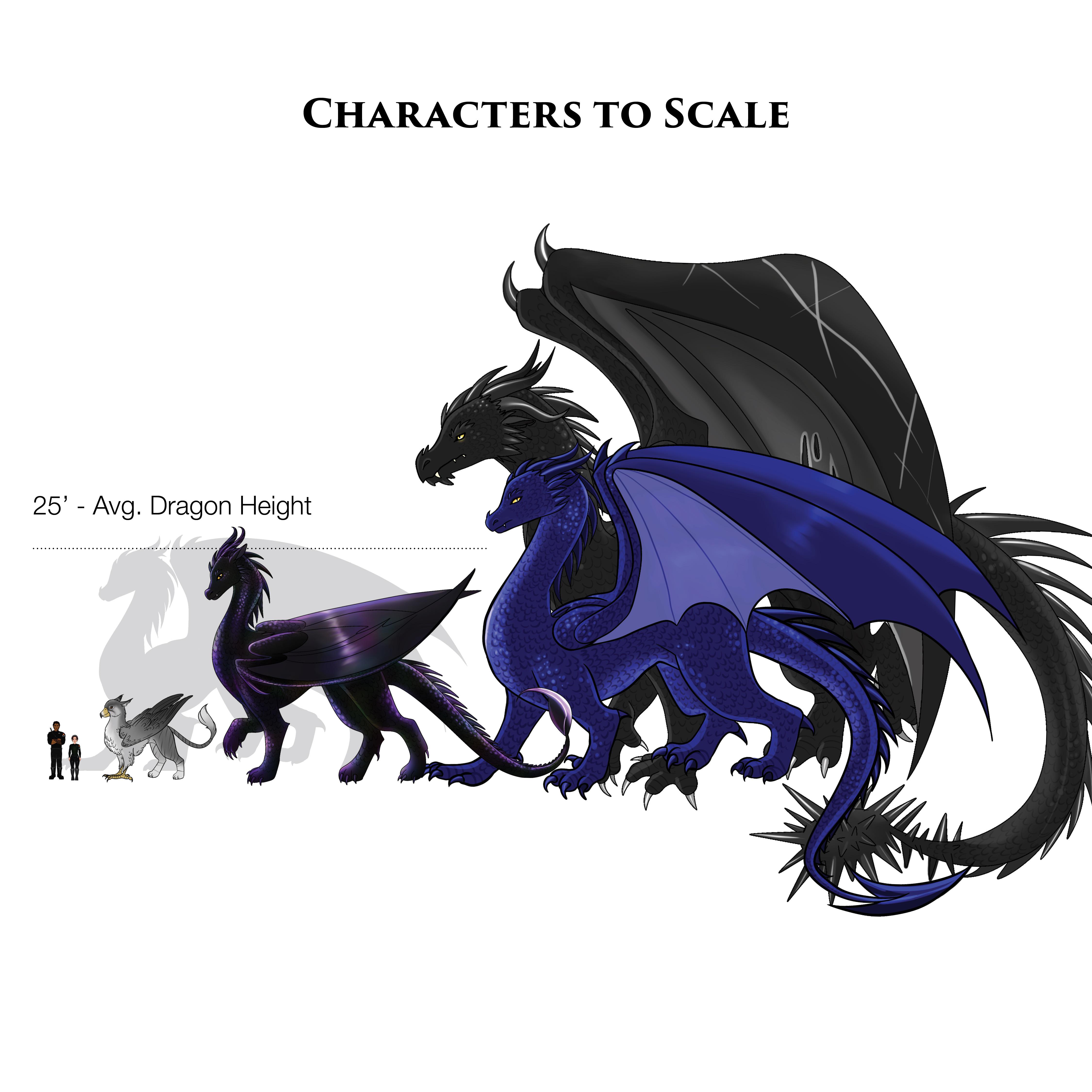 Character scale r/fourthwing