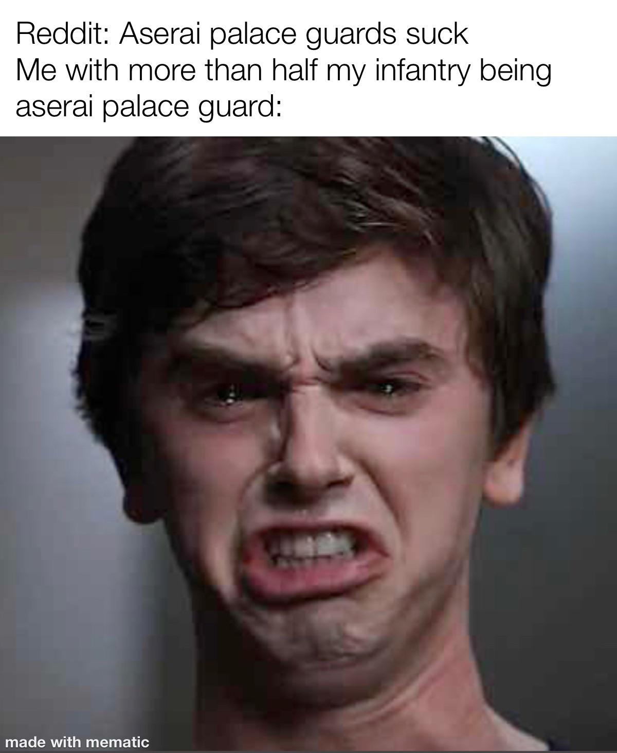 Meme ig r/Bannerlord