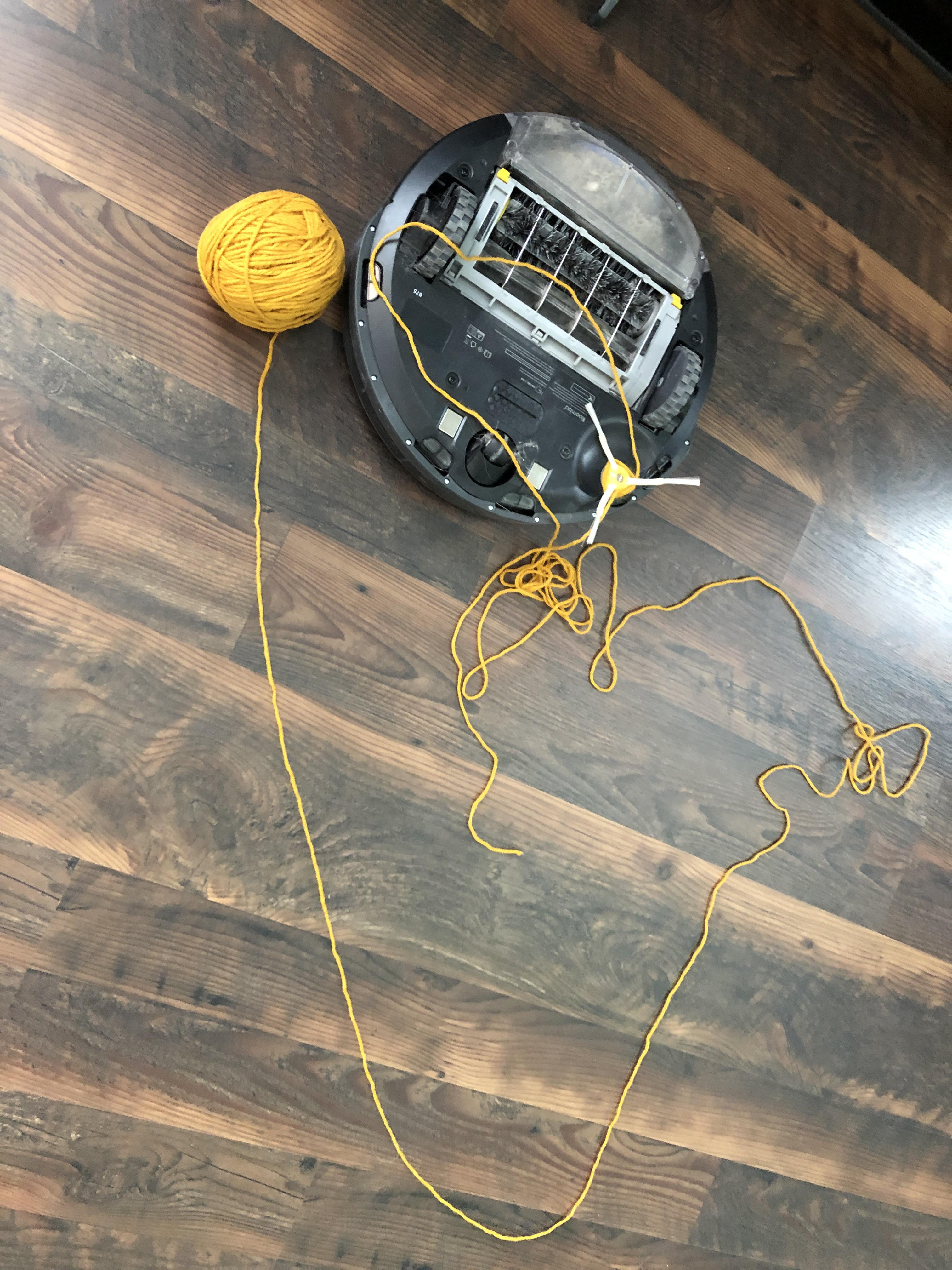 Trying to figure out why DJ Roomba sounded like it got stuck downstairs. My yarn ball tried to