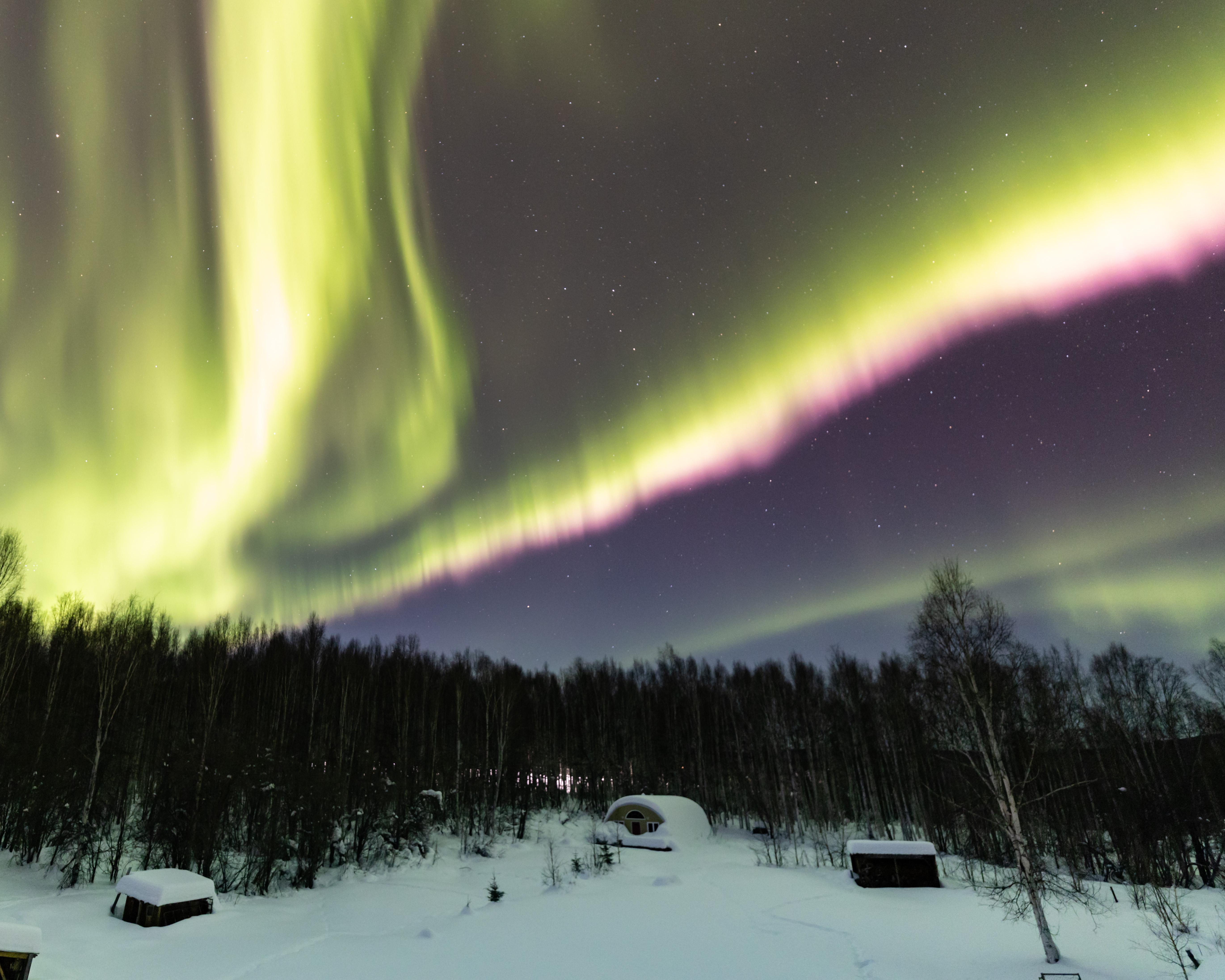 The Aurora Borealis from North Pole, Alaska r/winterporn