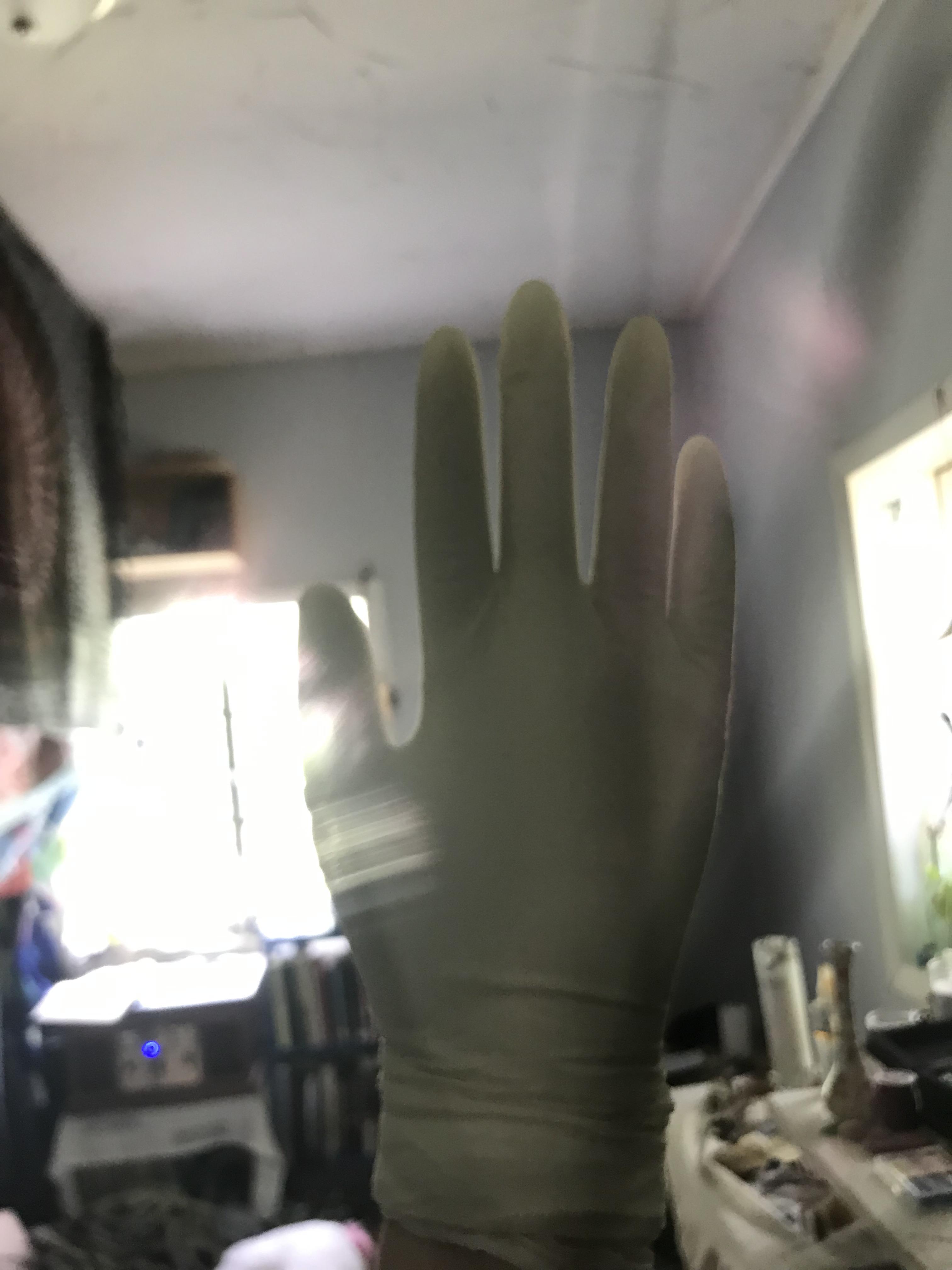 There are 20 latex gloves on my left hand r/bored