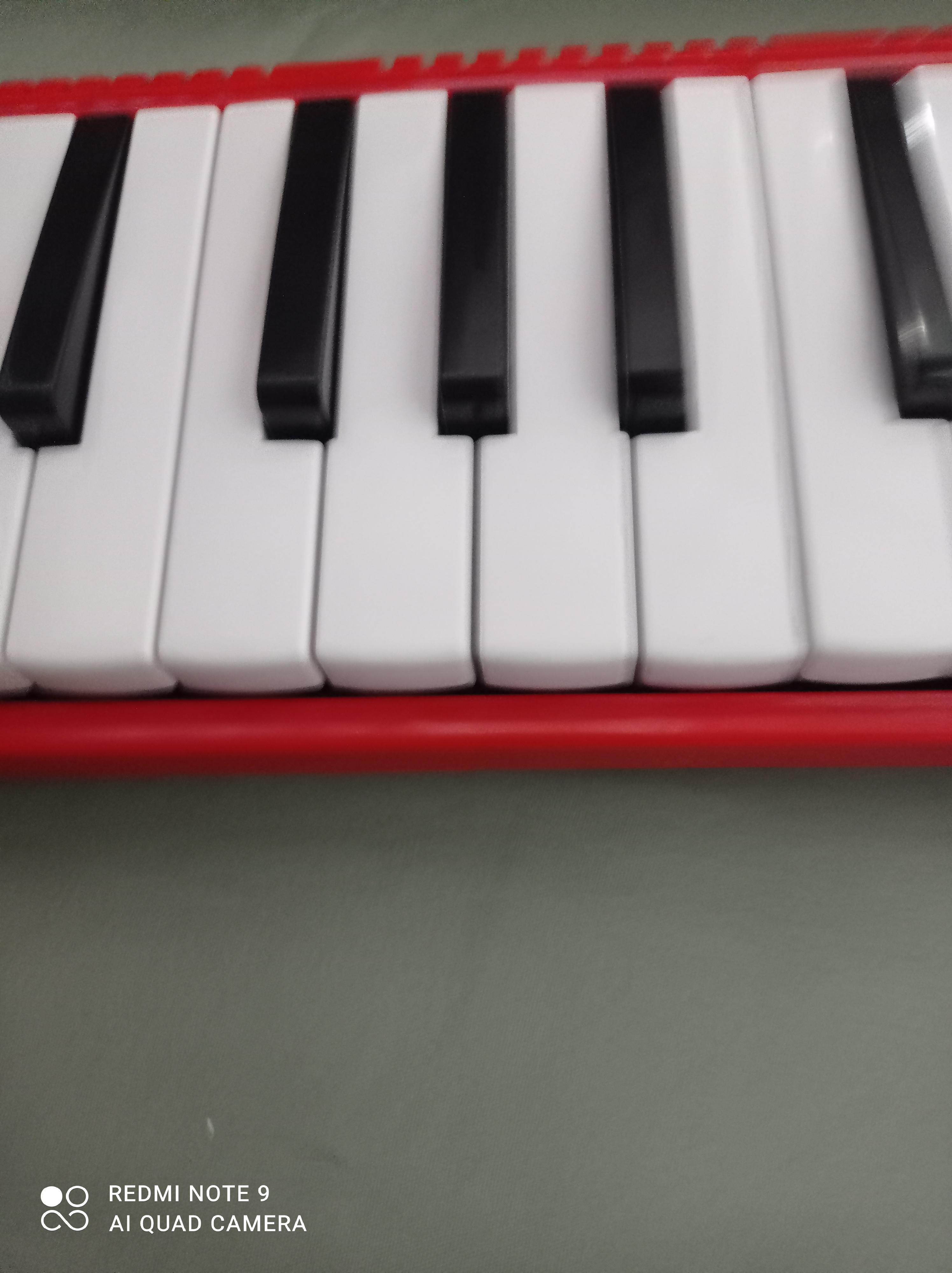 Issue I bought an 3 octave 29 melodica, and the highest B key Lower