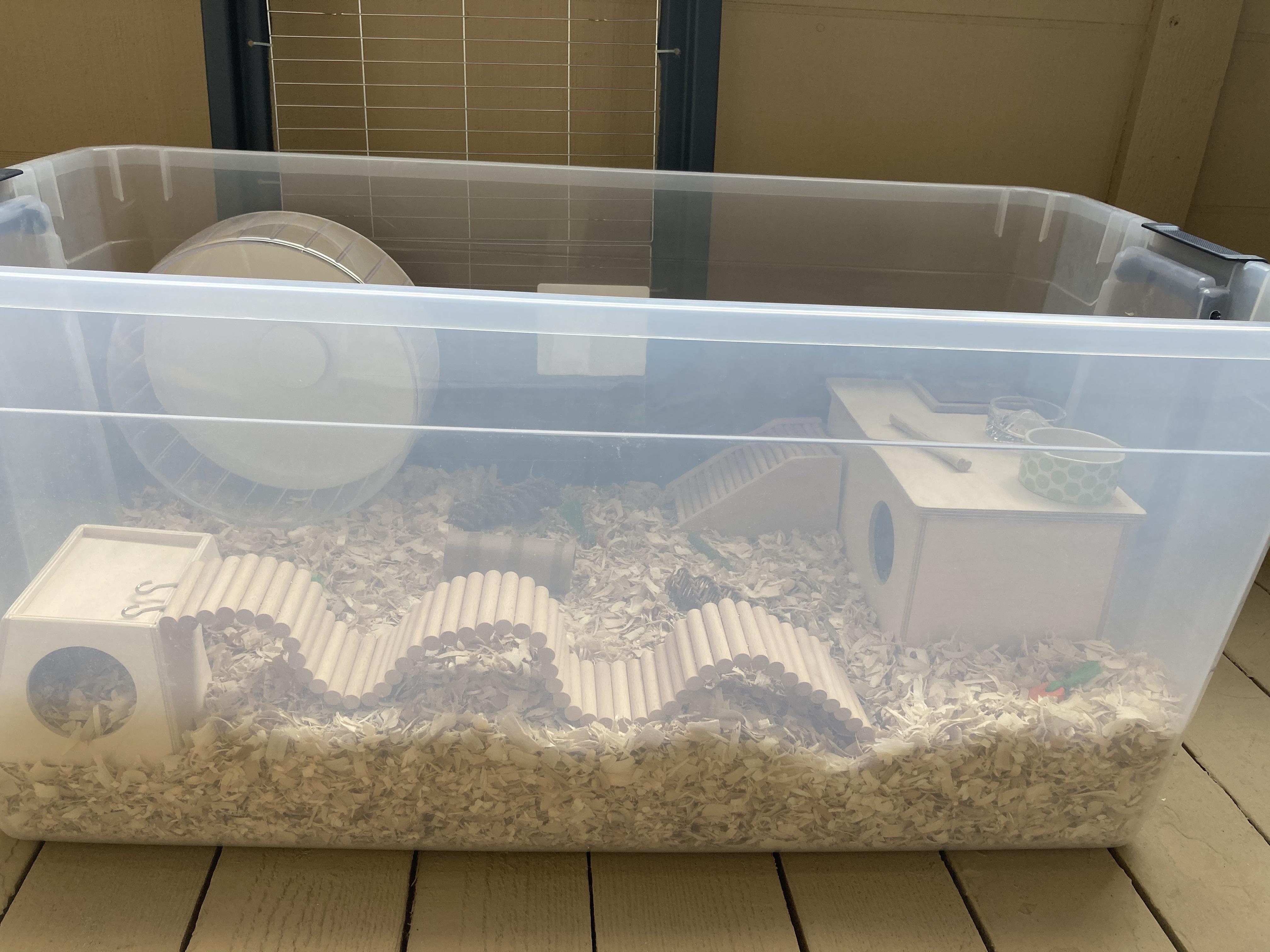 Syrian Hamster Bin Cages