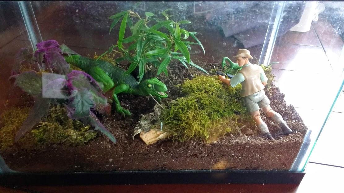 Just finished my 1st terrarium! I call it "Clever Gal"... r/JurassicPark