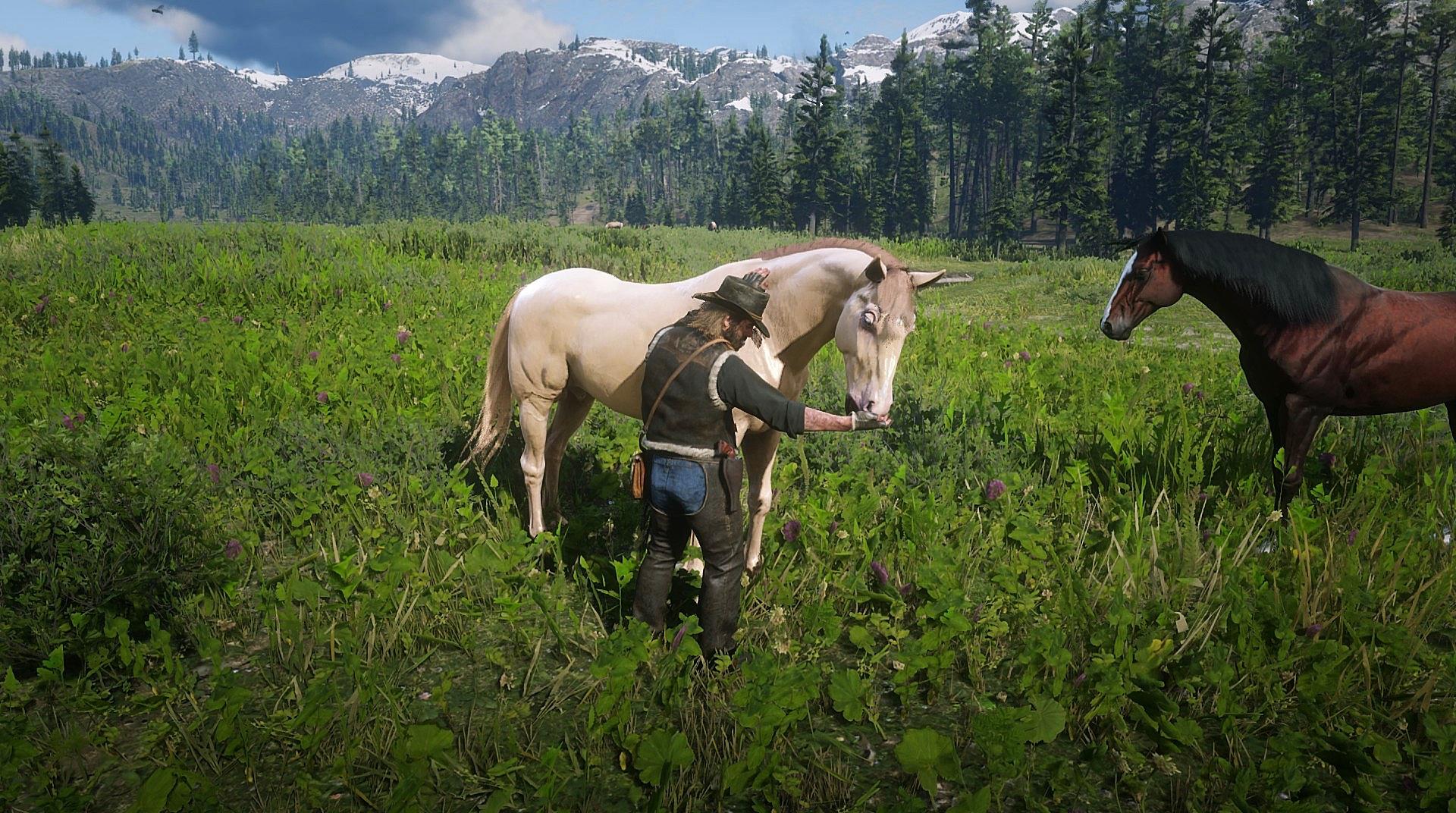 Just before that last mission, i had my Arthur take his horses (all bar