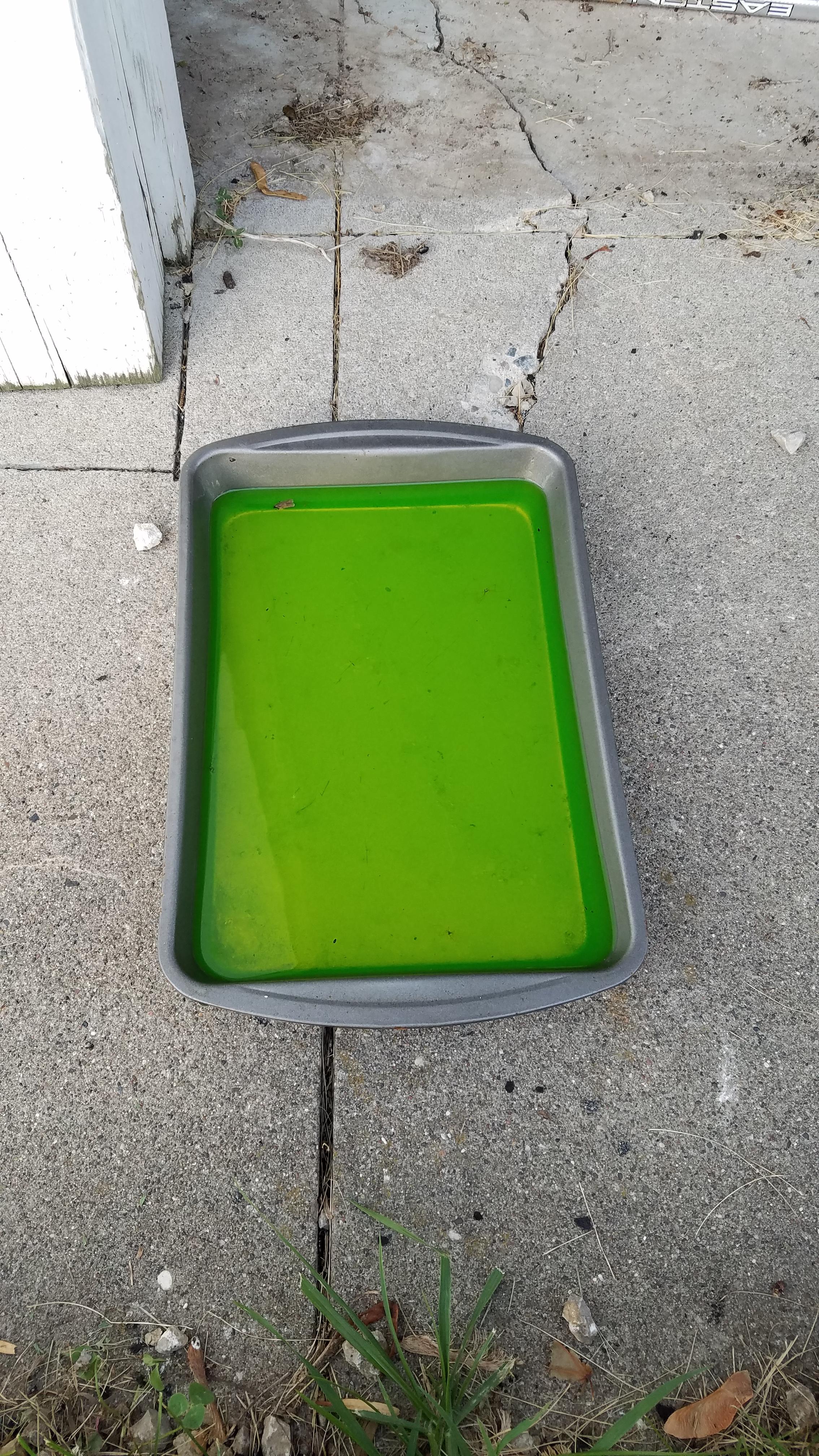 Forbidden Jello r/forbiddensnacks