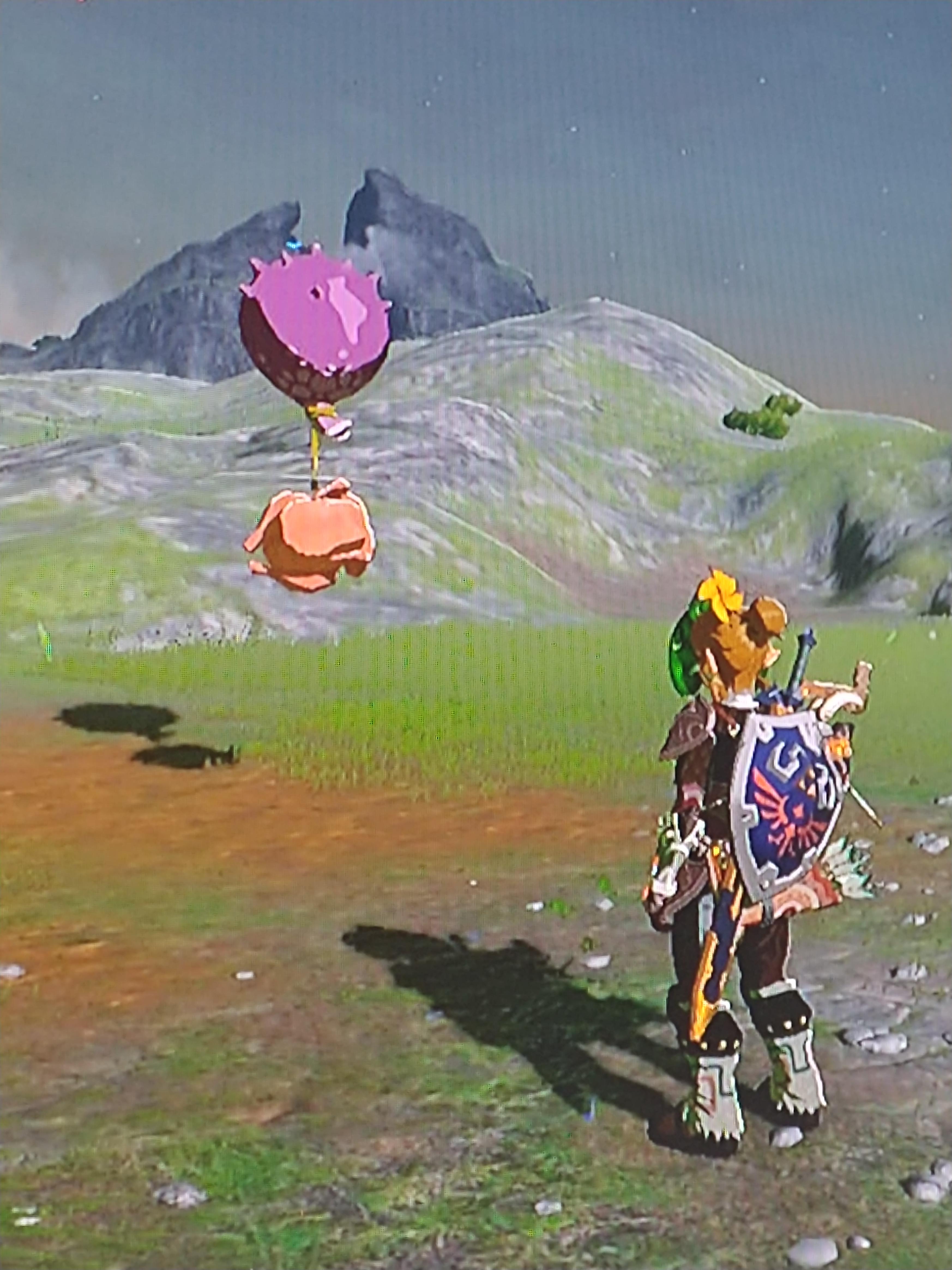 Bird r/Breath_of_the_Wild