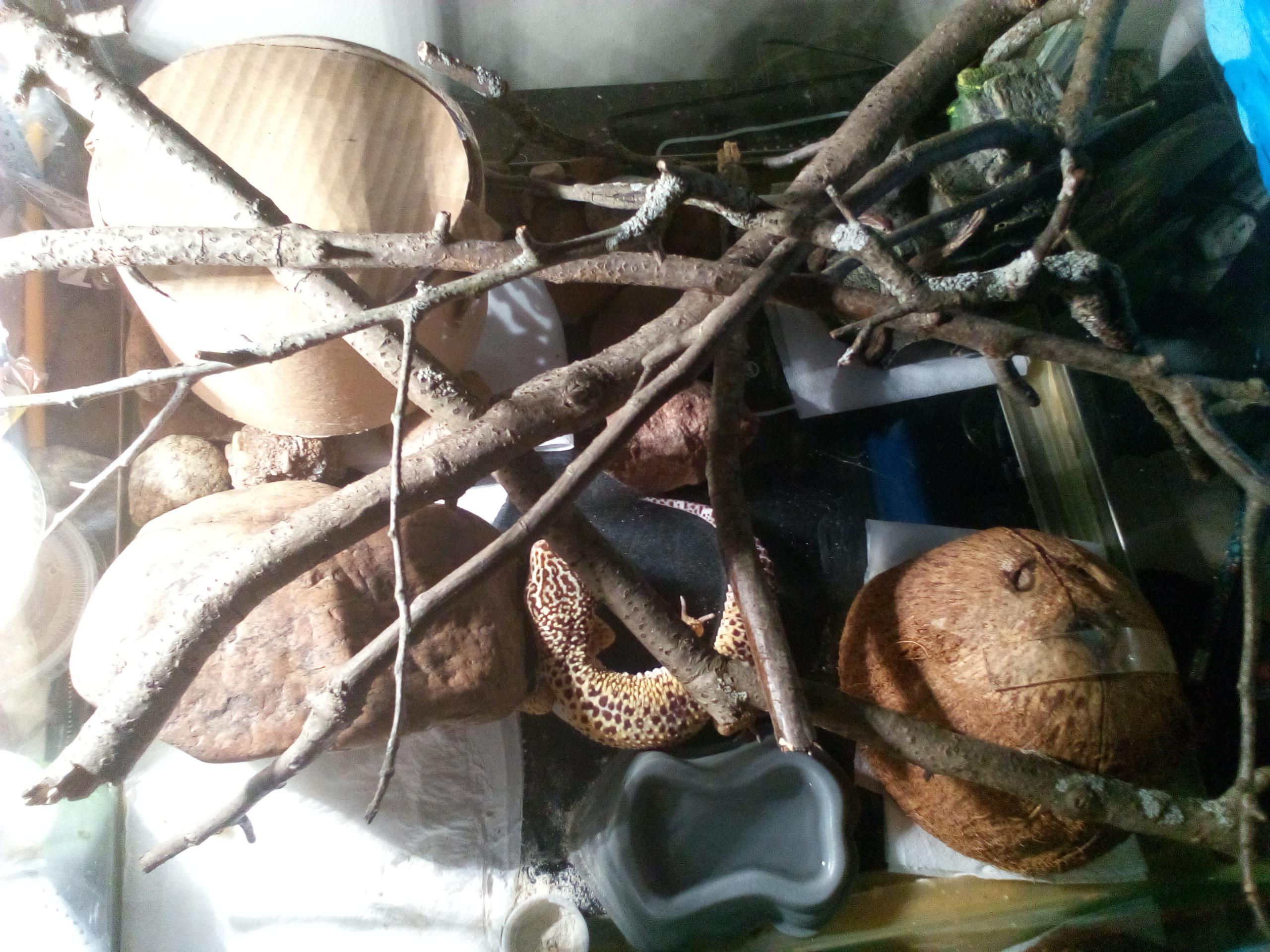 41 Hilarious Calcium Light Puns Punstoppable 🛑