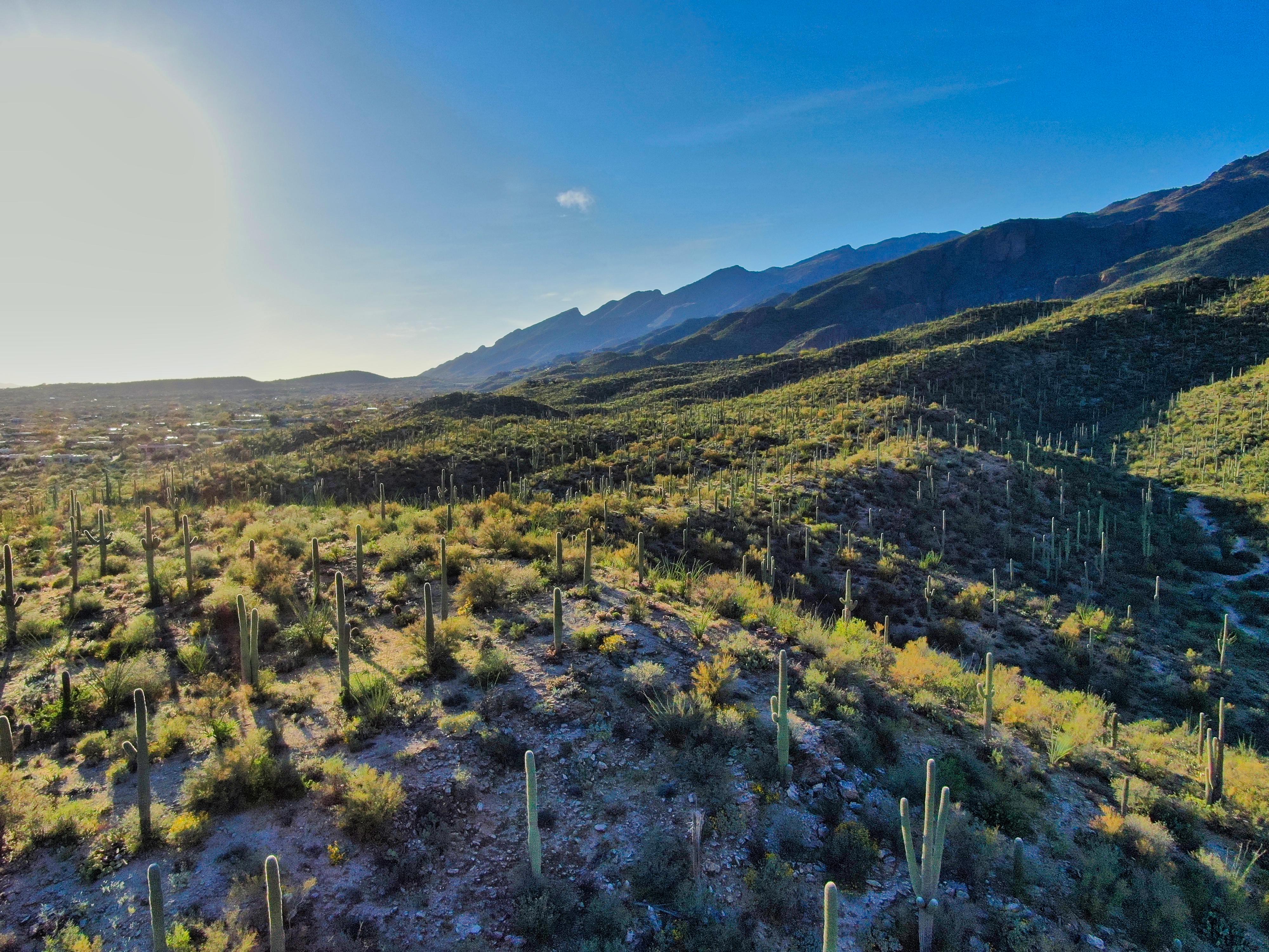 Sabino Canyon Tucson, Arizona r/drones