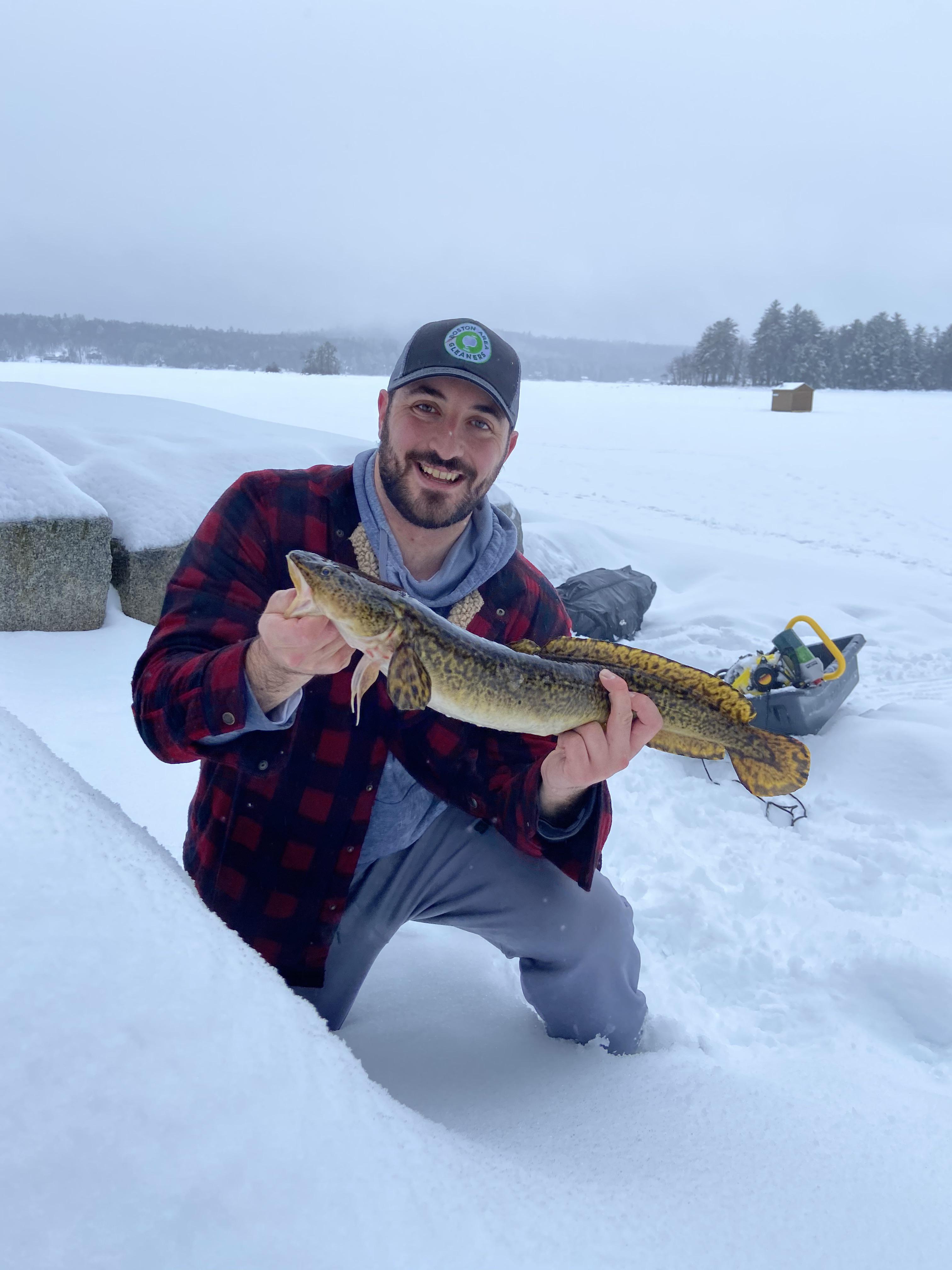 First Burbot through the ice! r/Fishing