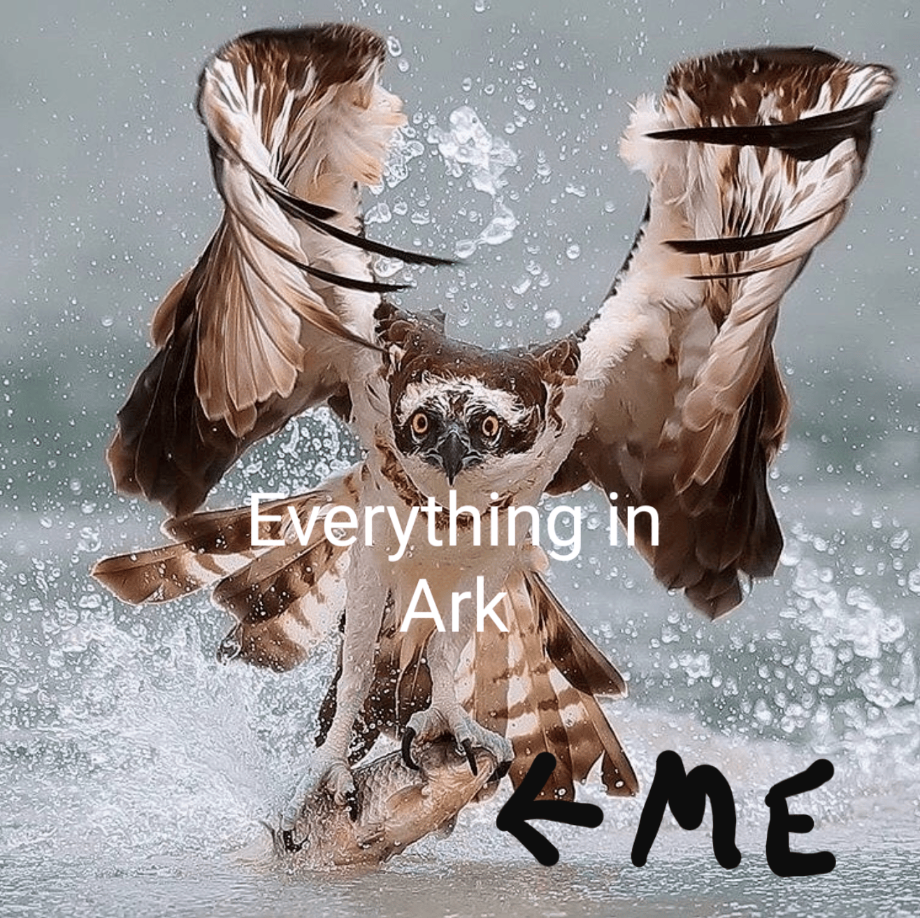 When you're new to Ark and memes ARK