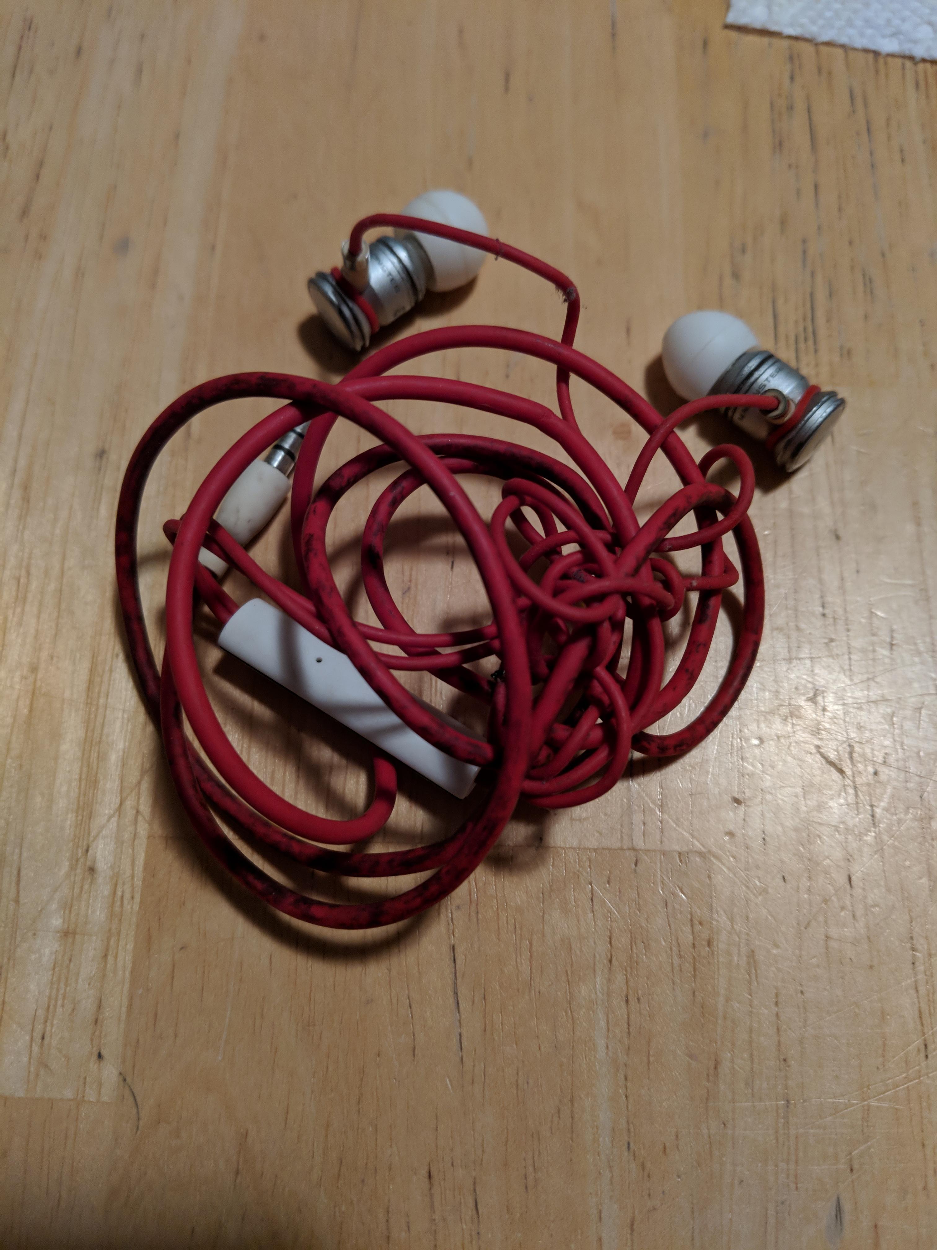 Oops. I put my favorite old pair of headphones into the washing machine