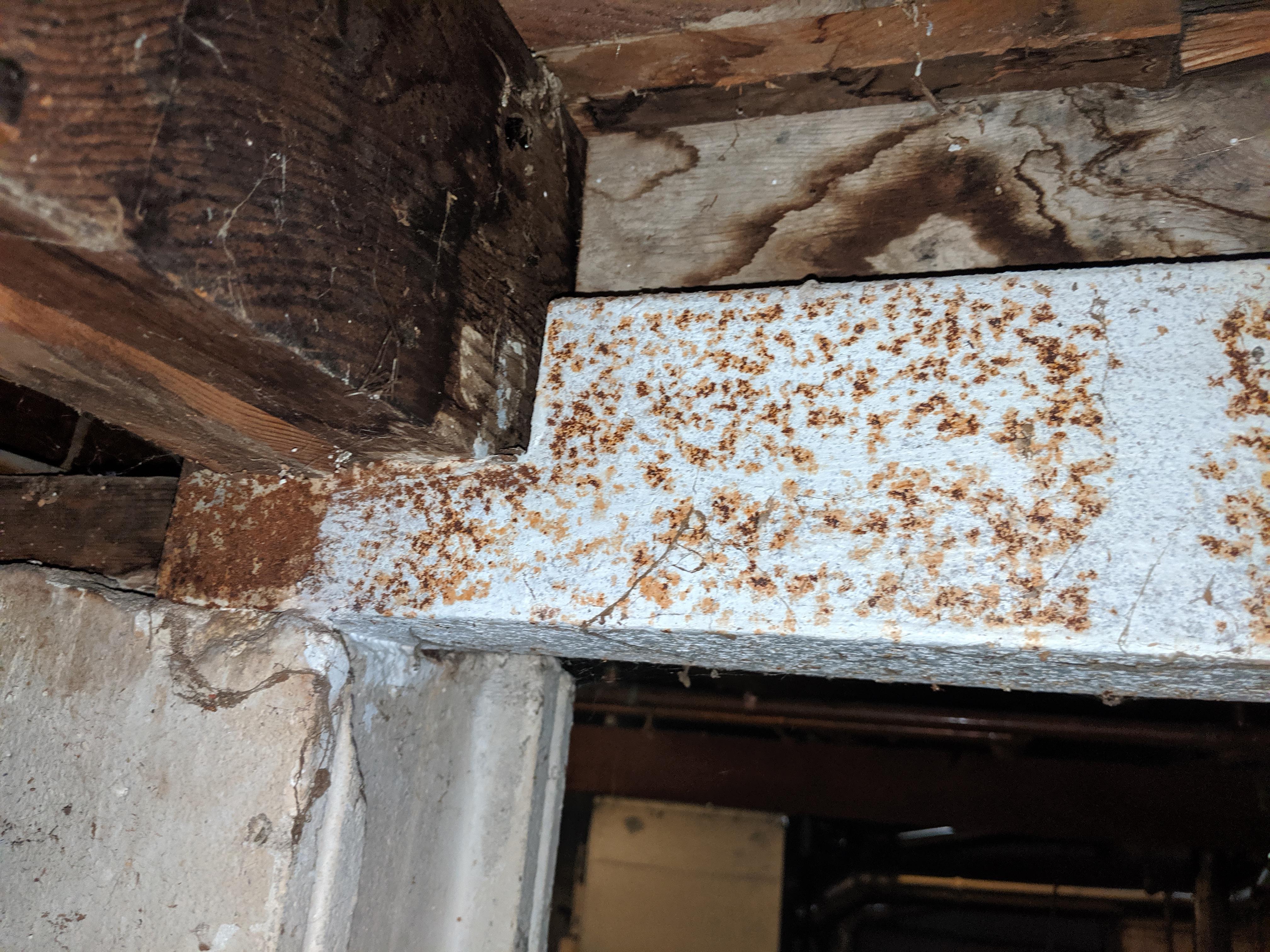 Is this mold and if so how can I get rid of it? I recently moved into a