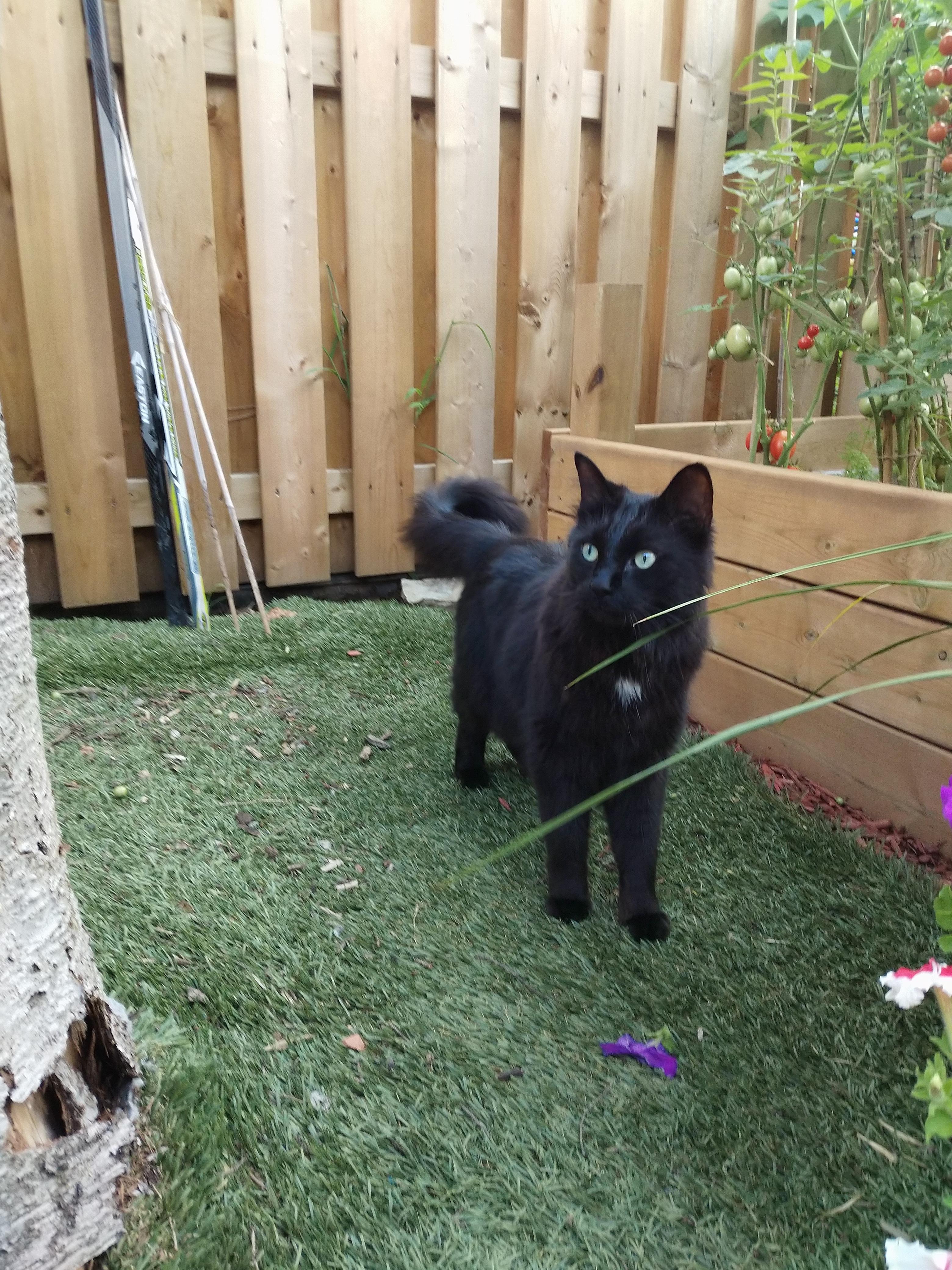 Found this beauty in Delta East belong to anyone?? r/Hamilton