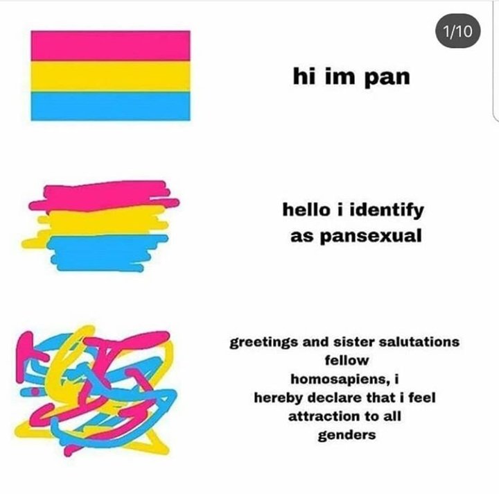 Pans are great r/IncreasinglyVerbose