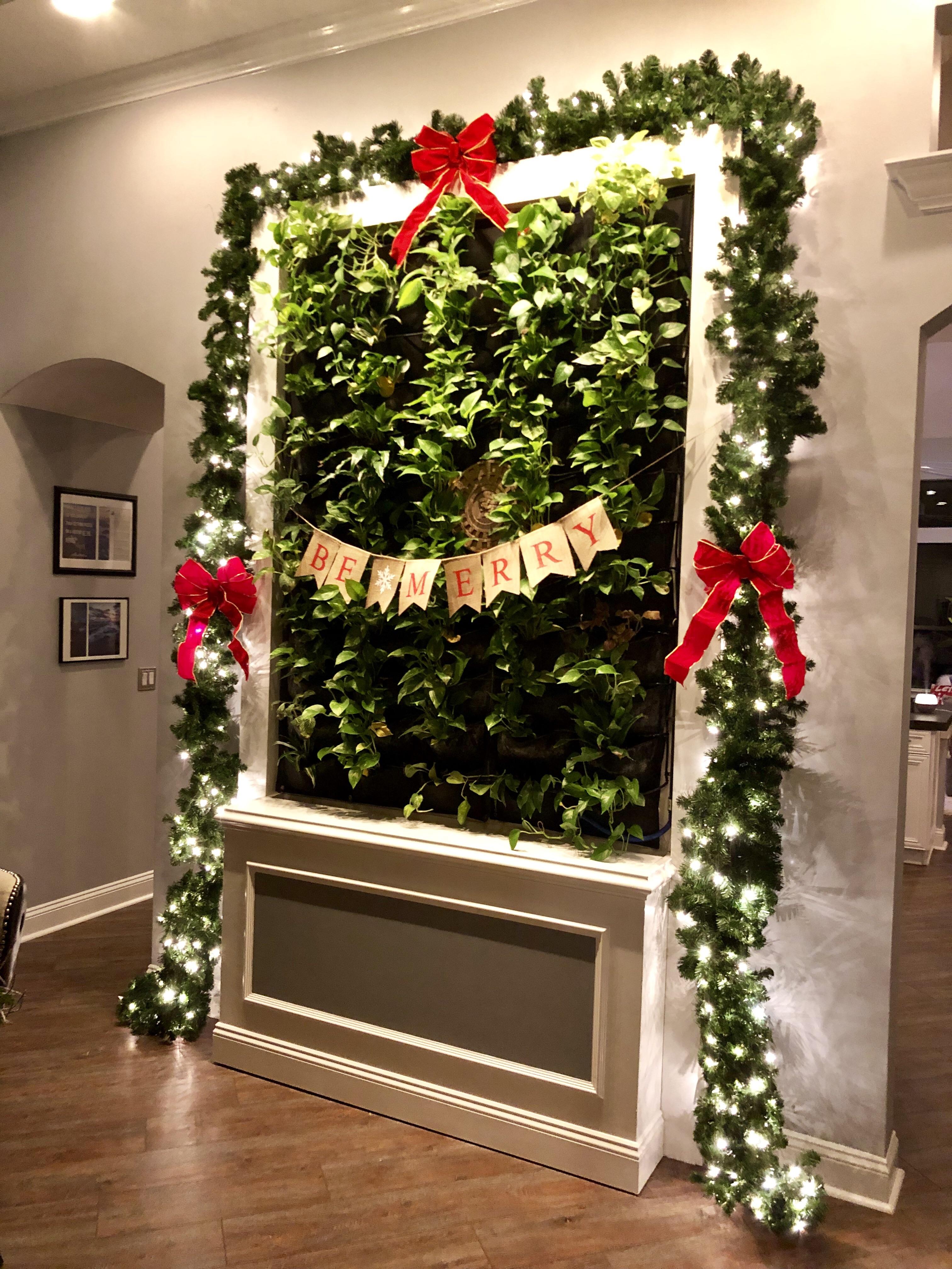 Homemade selfwatering living wall gardening