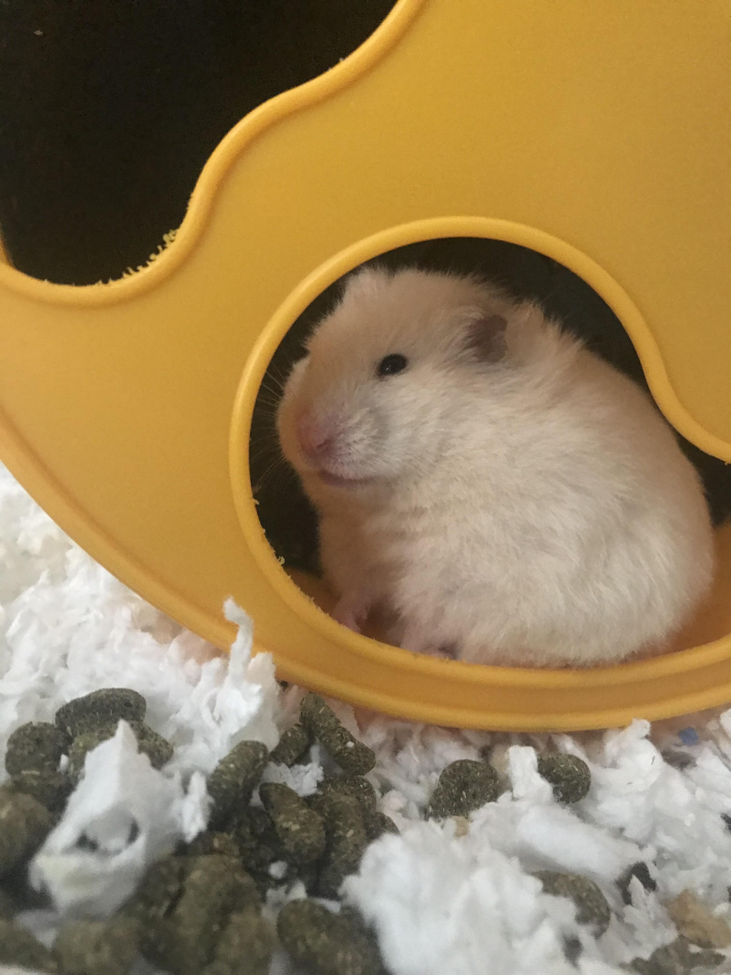 Lady was running around and didn’t appreciate the lights going on r