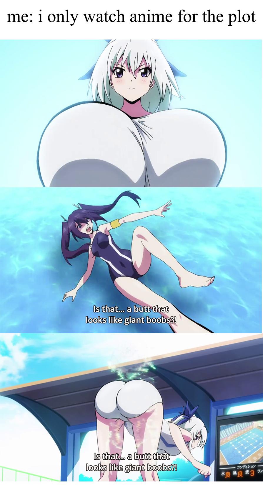 i only watch anime for the plot Animemes